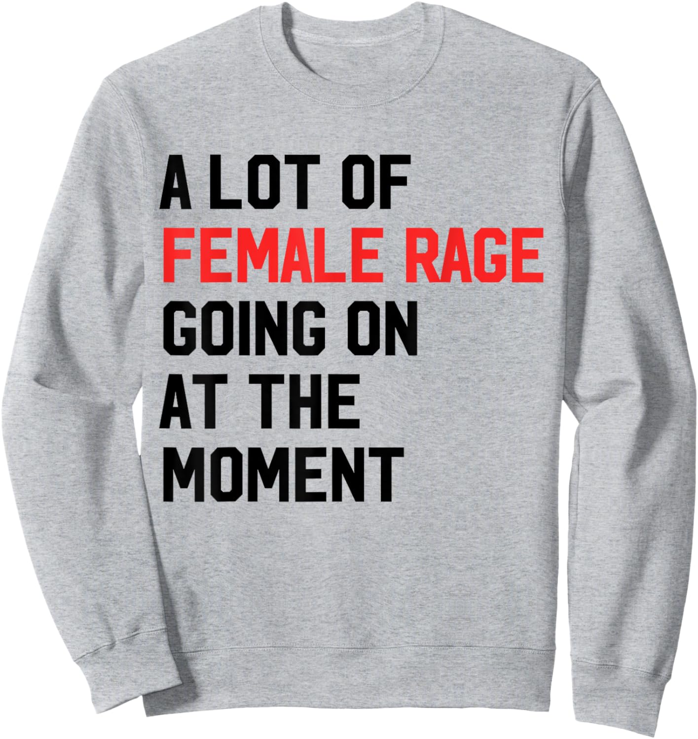 A Lot Of Female Retro TAYLOR Rage Going On At The Moment Sweatshirt - Sweatshirt | Ash