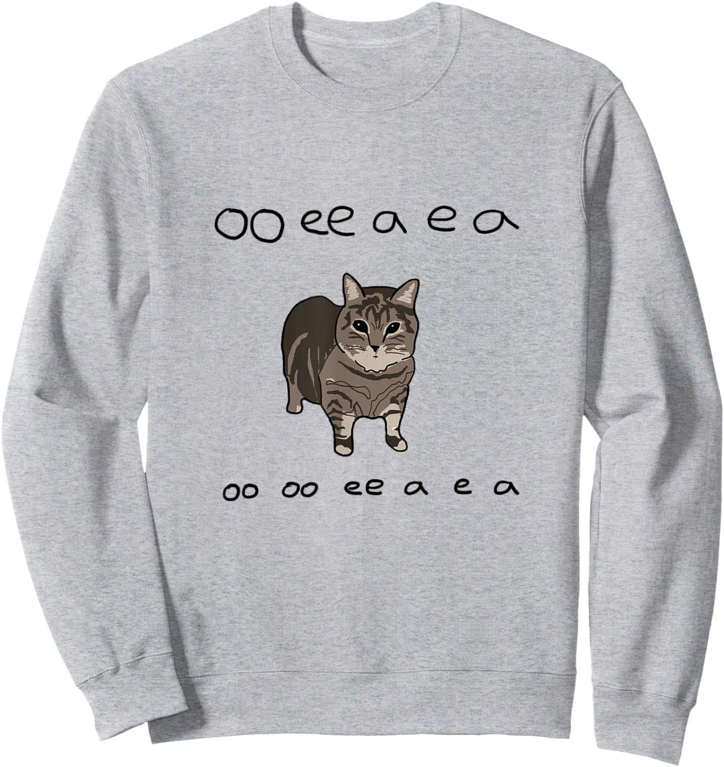 Funny Cat Spinning Meme Green Screen oo ee a e a Women Sweatshirt - Sweatshirt | Ash