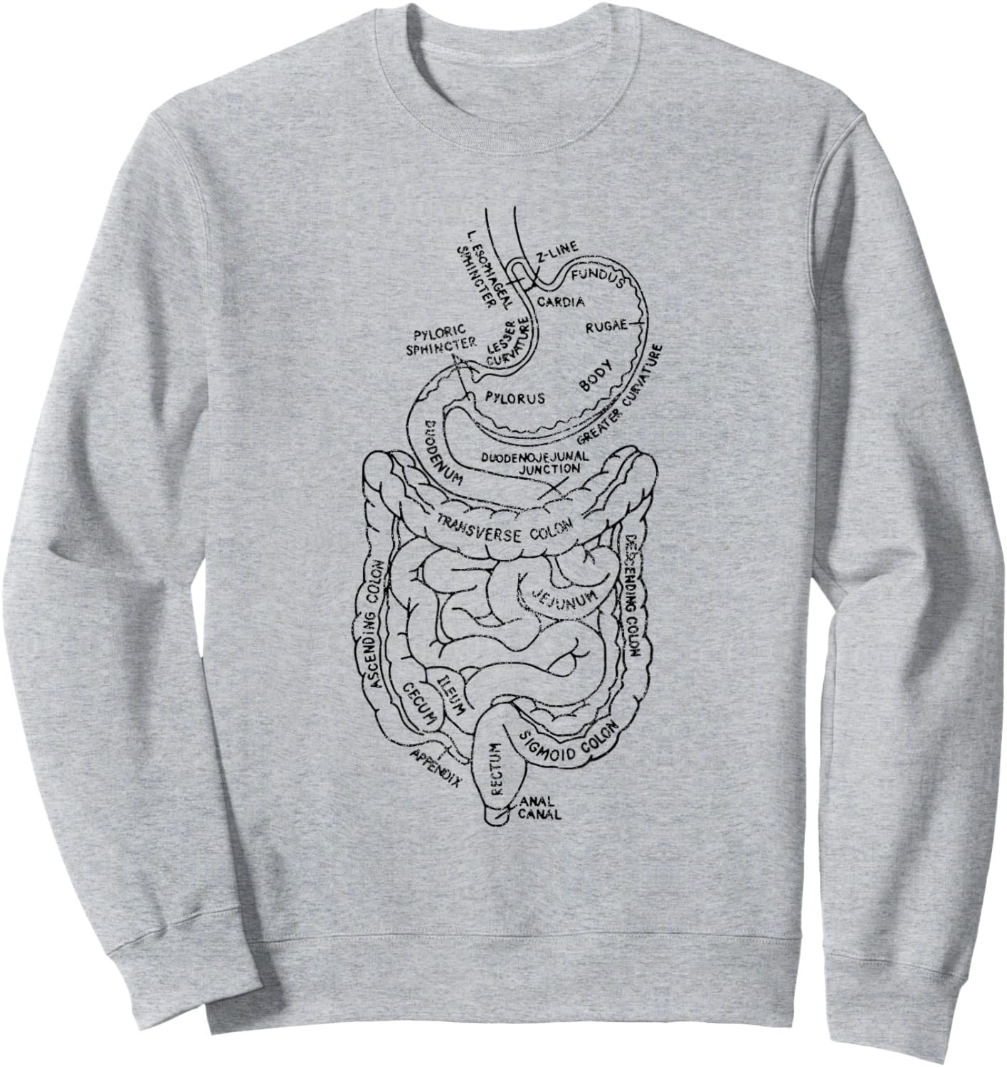 GI Tract Digestive Tract Anatomy GI Tract Anatomy Gastroent Sweatshirt - Sweatshirt | Ash