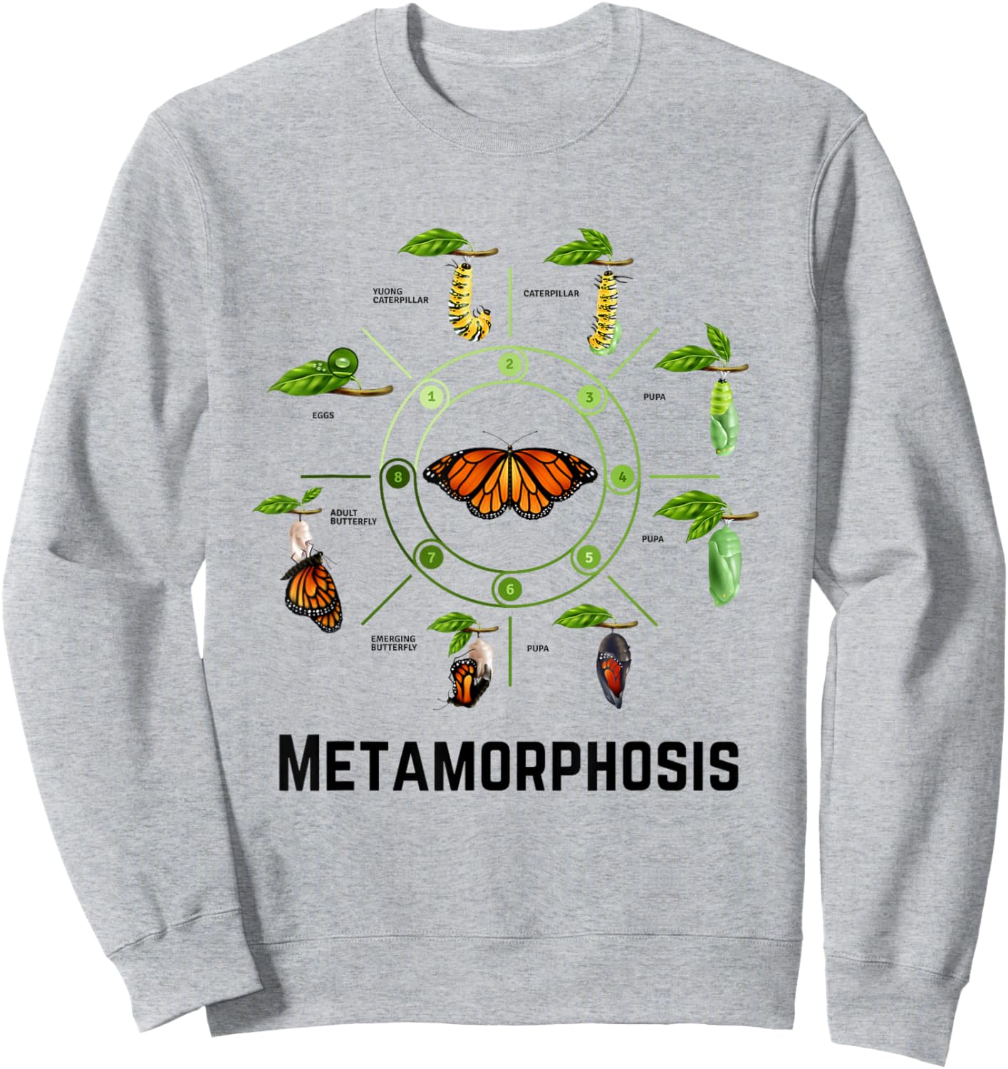 Funny Caterpillar Lifecycle Metamorphosis Monarch Butterfly Sweatshirt - Sweatshirt | Ash