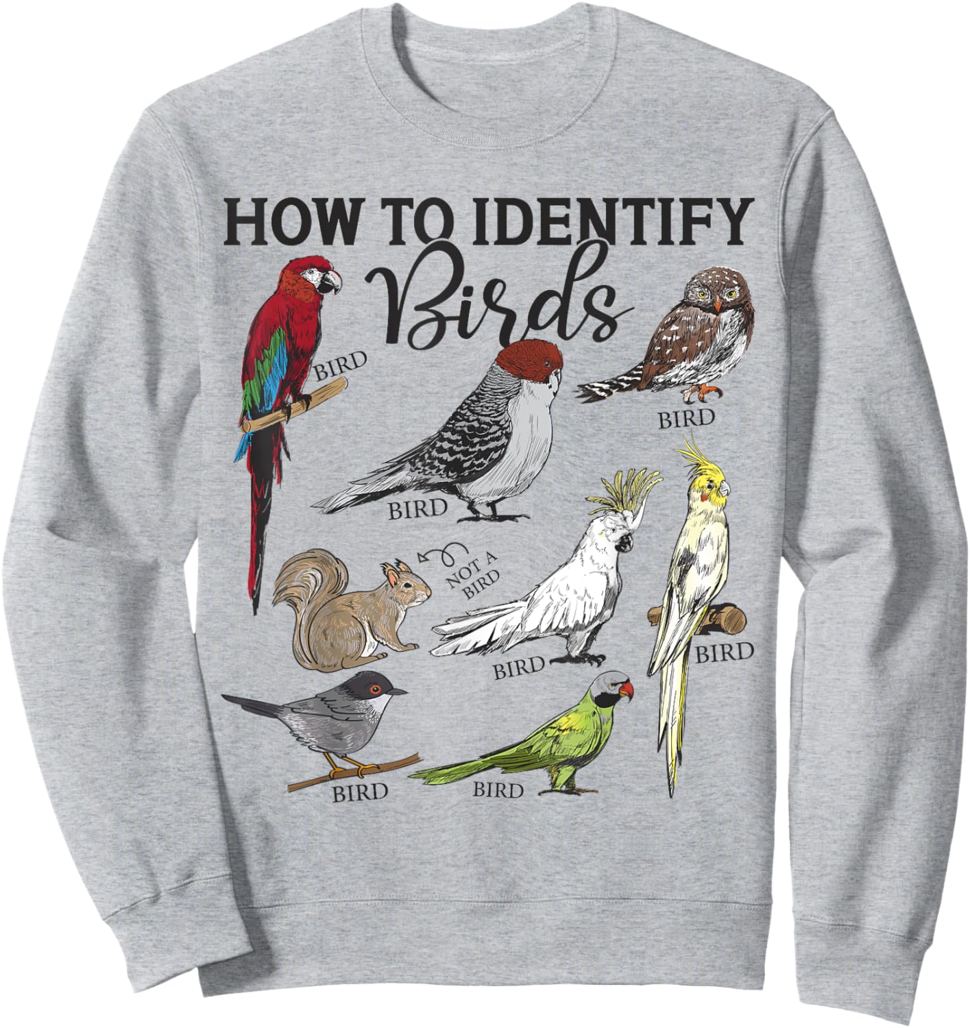 How To Identify Birds Squirrel Funny Bird Watching Birding Sweatshirt - Sweatshirt | Ash