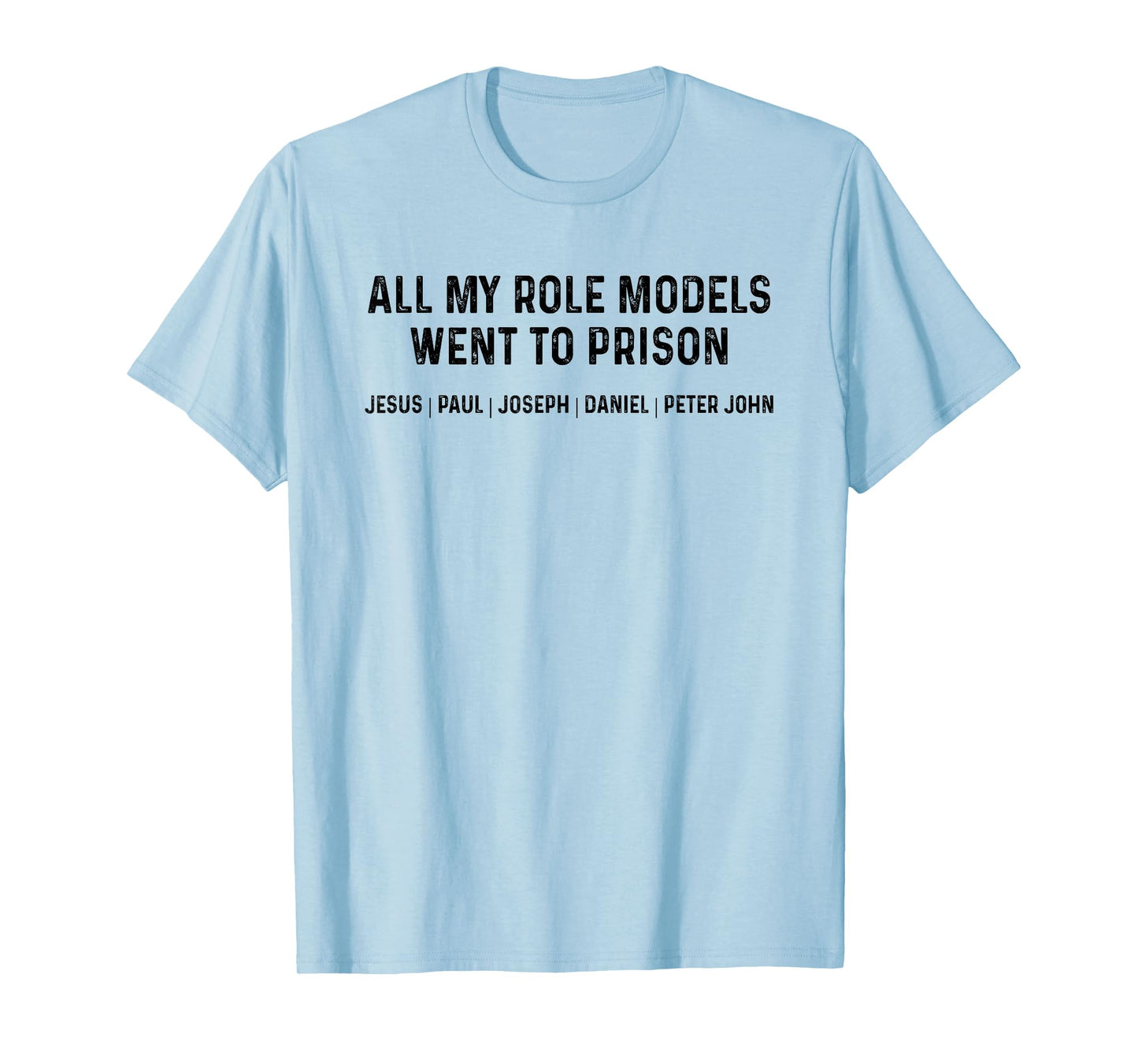 All My Role Models Went To Prison T-Shirt