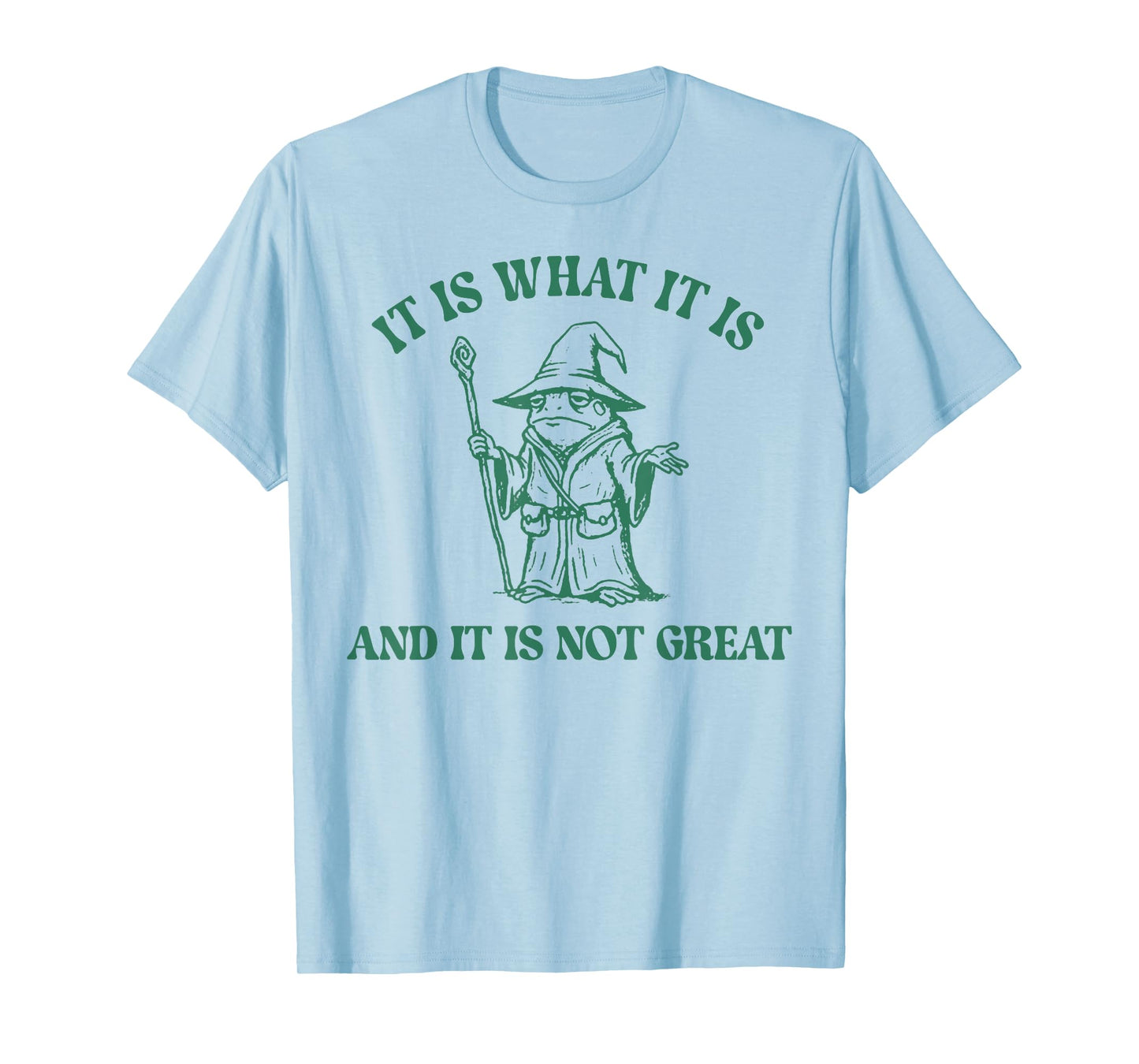 Frog Witch It Is What It Is And It Is Not Great T-Shirt
