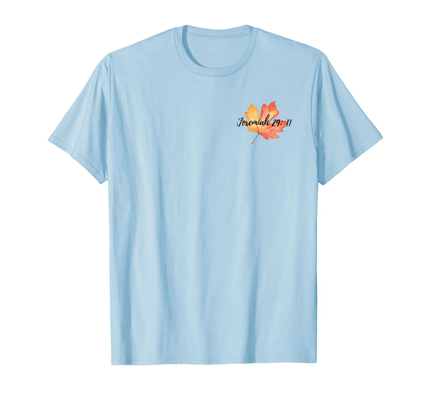 Jeremiah 29:11 T-Shirt