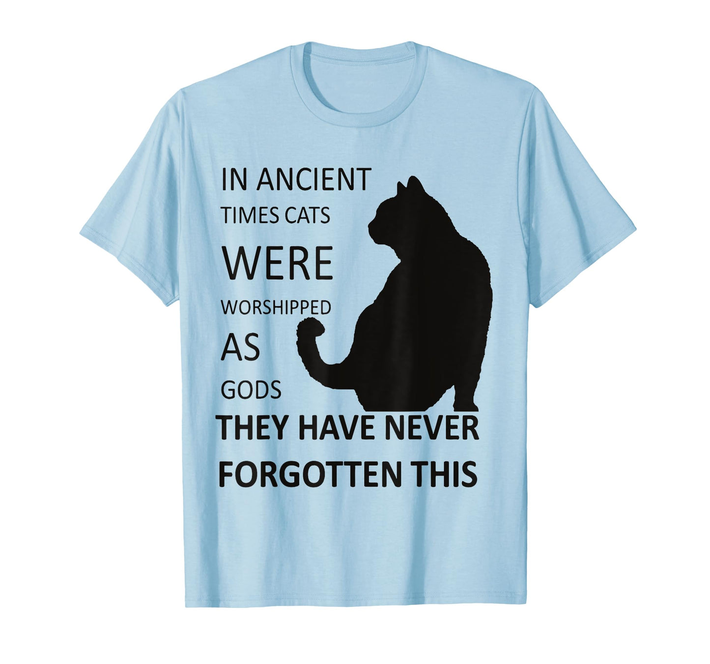 In Ancient Times Cats Were Worshipped As Gods v1 T-Shirt