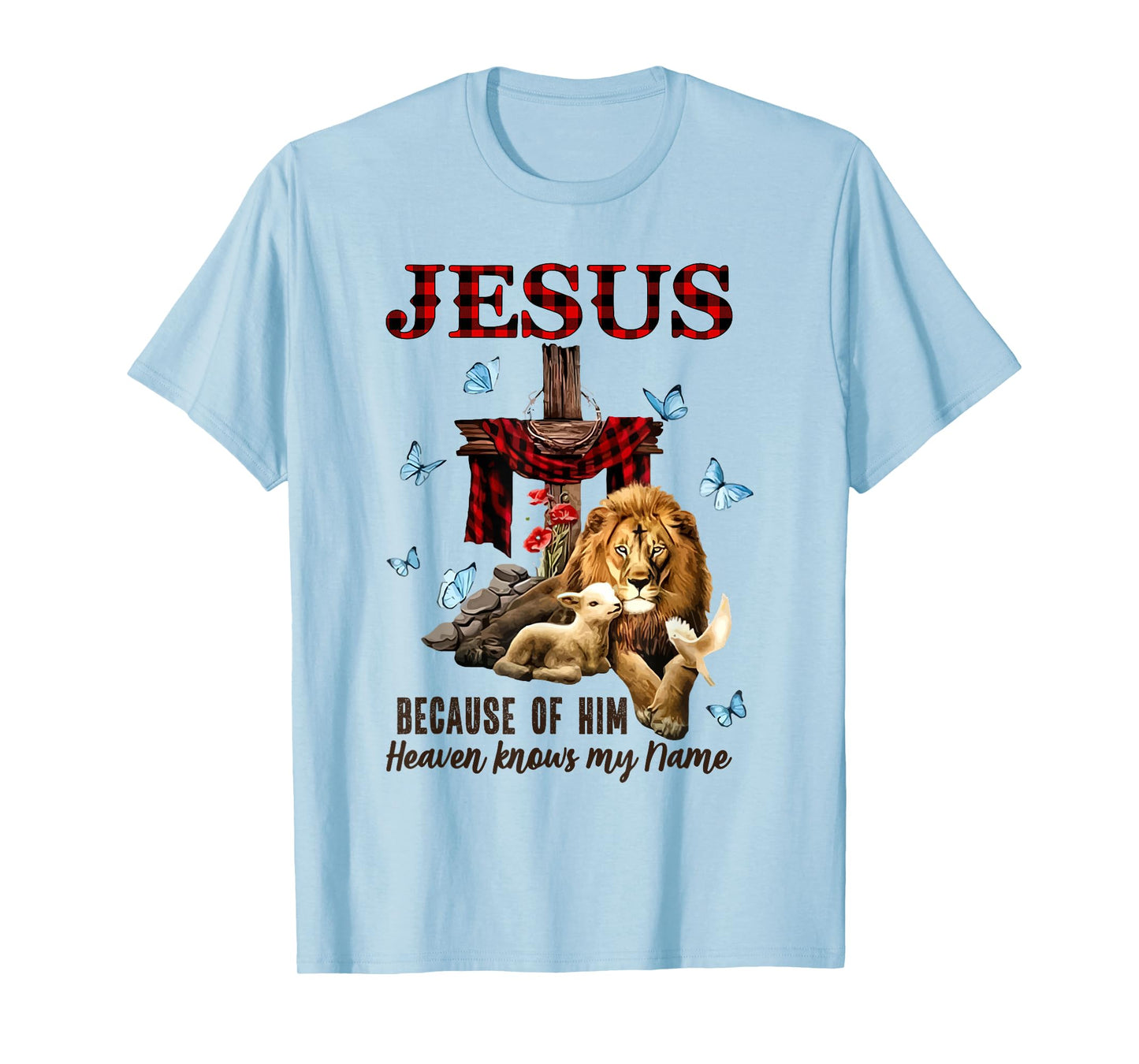FAITH Jesus Lion Lamb Heaven Know My Name T-Shirt