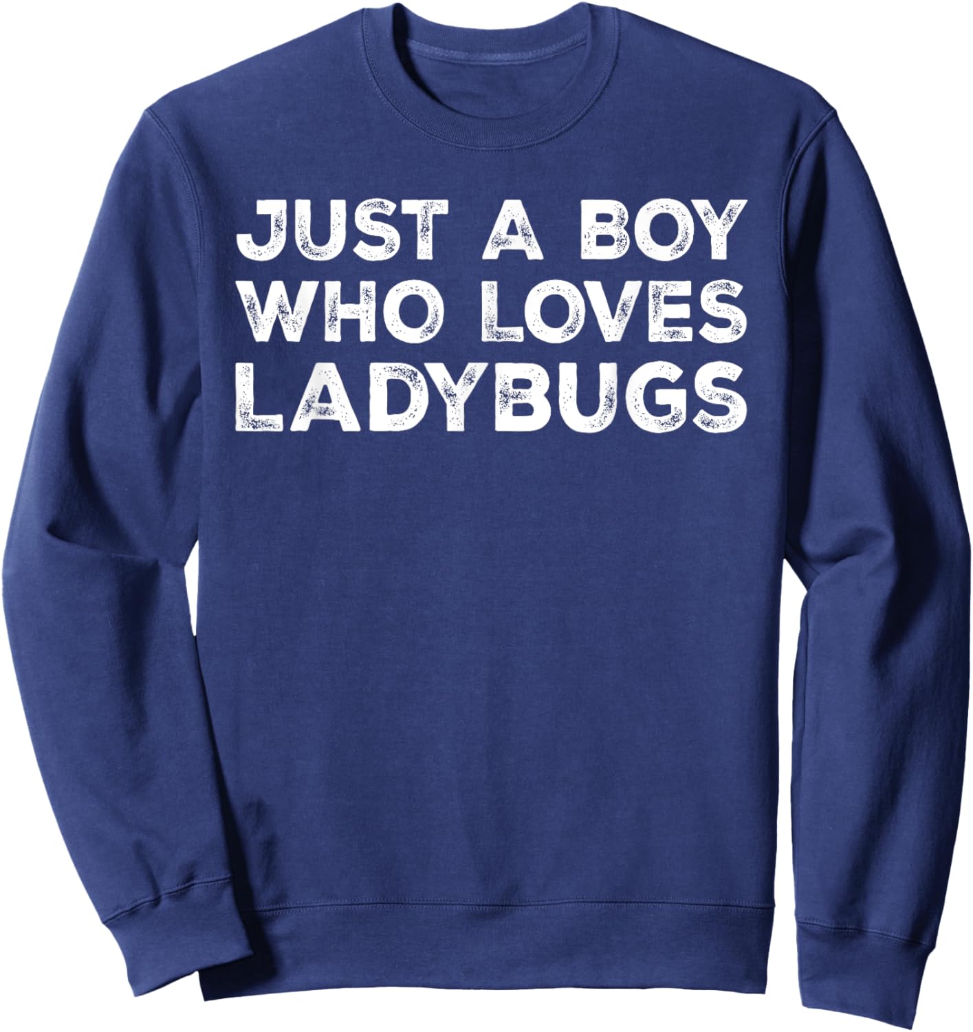 Just A Boy Who Loves Ladybugs, Cute Ladybug Lovers Sweatshirt - Sweatshirt | Navy