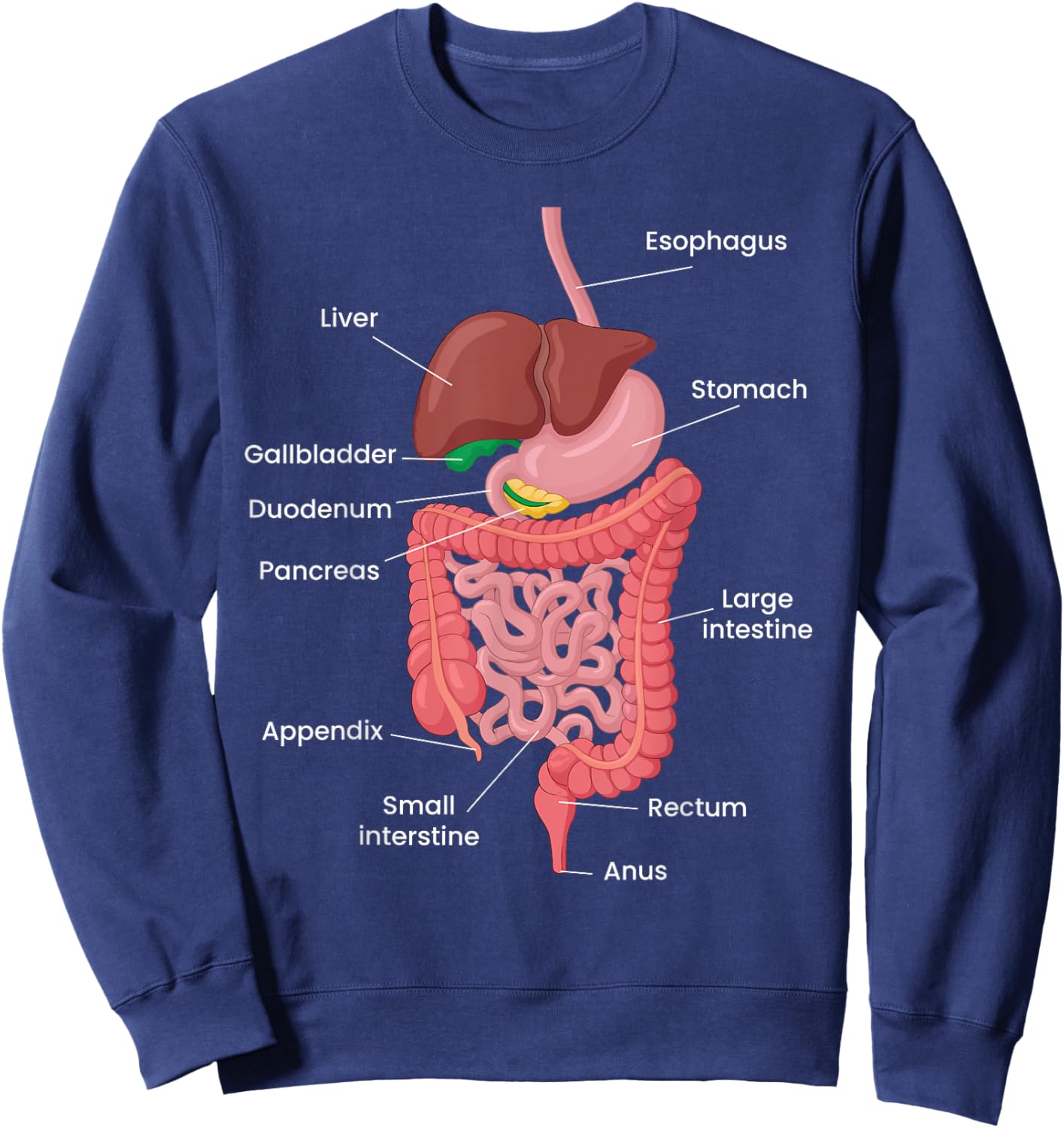 Biological Apparel -Adults Anatomy Digestive System Black Small Classic Short Sleeve Sweatshirt - Sweatshirt | Navy