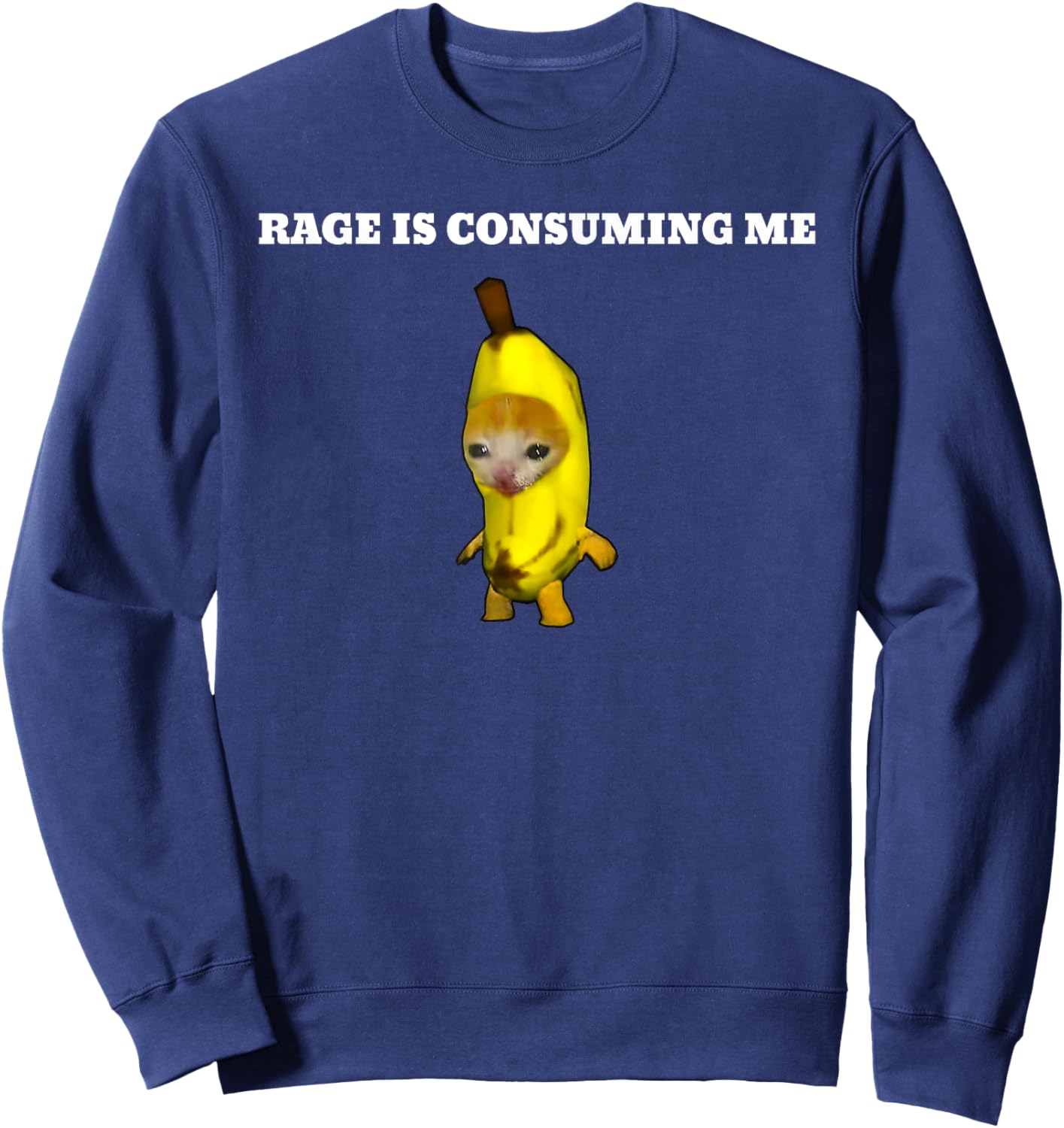 Rage Is Consuming Me Cat Meme Sweatshirt - Sweatshirt | Navy