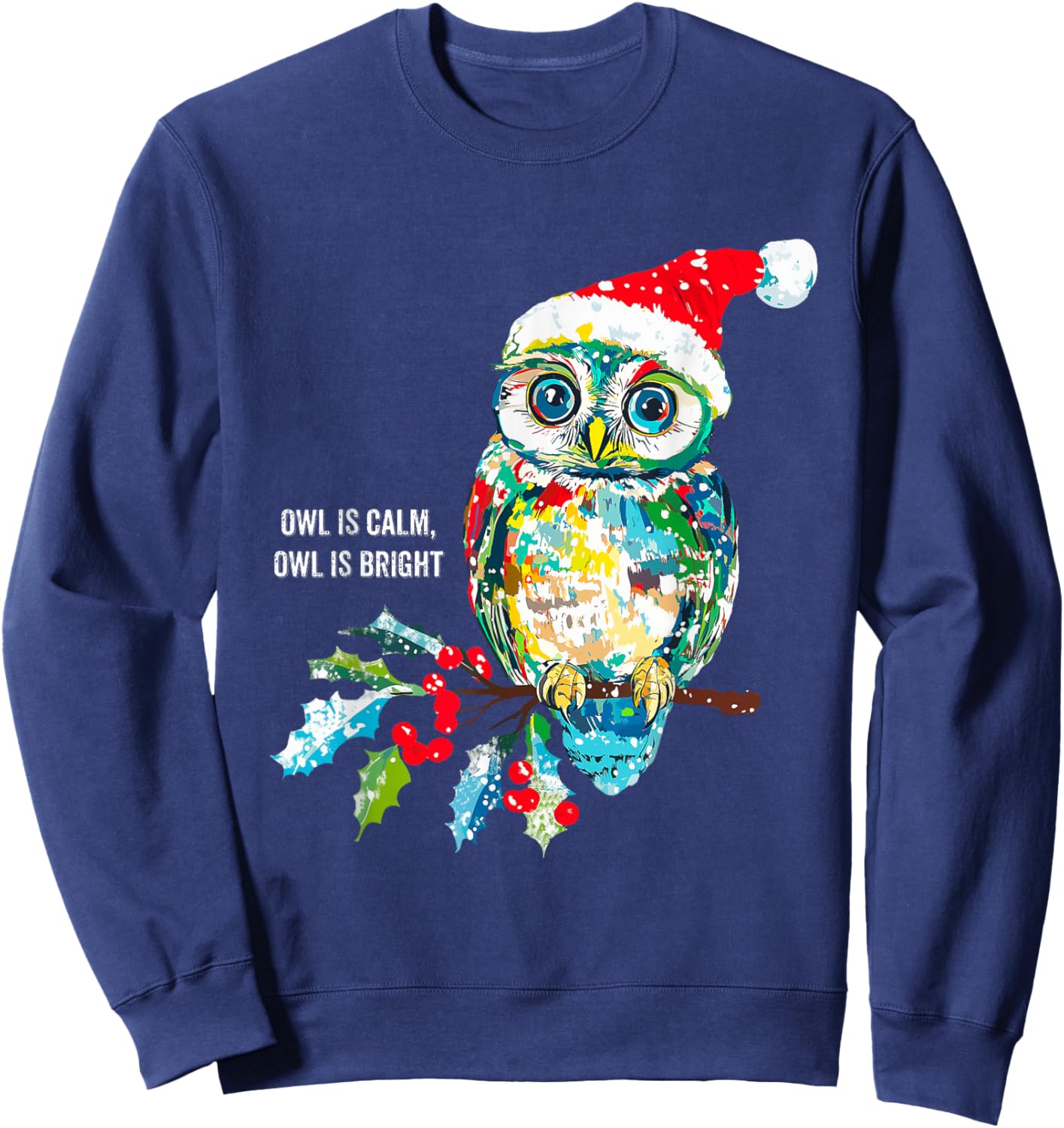 Funny Owl Wearing Santa Claus Hat Christmas Holiday Meme Sweatshirt - Sweatshirt | Navy