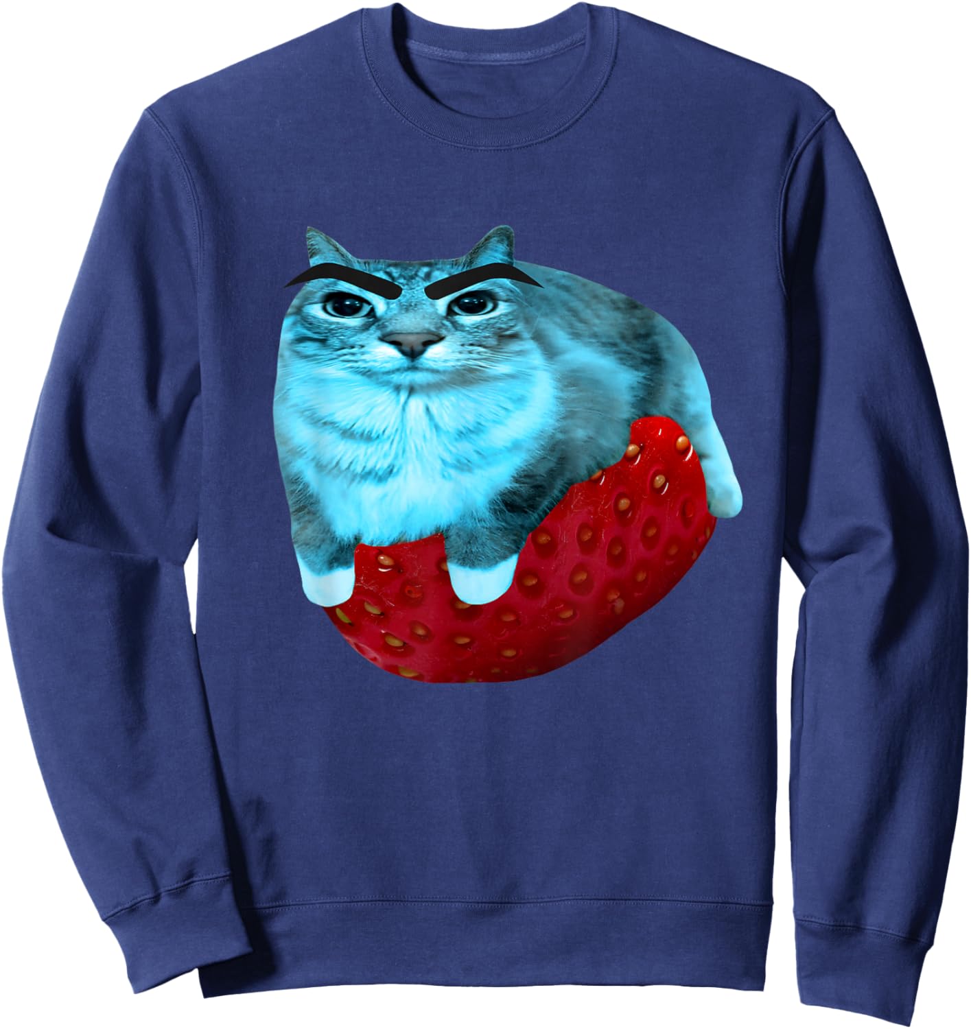 Strawberry Watermelon Cat Silly Cat Meme Sweatshirt - Sweatshirt | Navy
