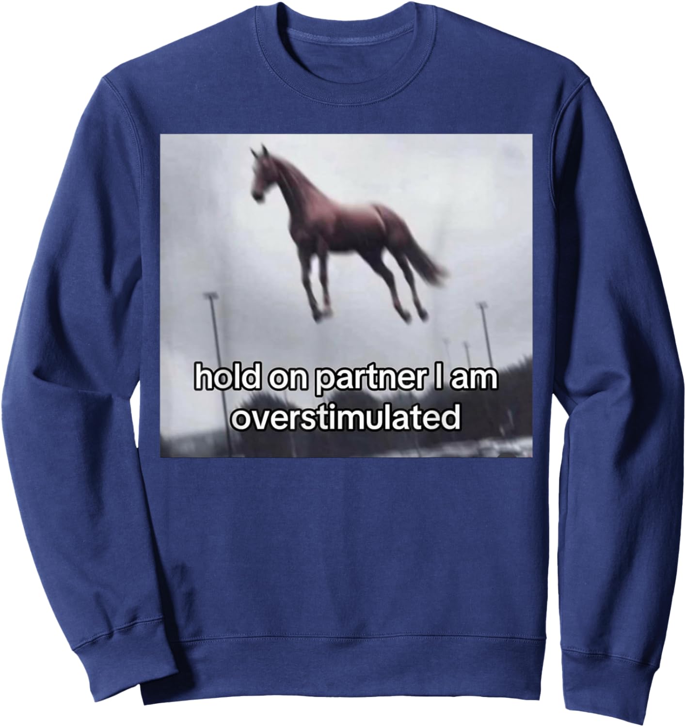 Vintage 1977 Groovy Hold On Partner I'm Overstimulated Western Horse - -Adults, Black, Small, Short Sleeve Sweatshirt - Sweatshirt | Navy