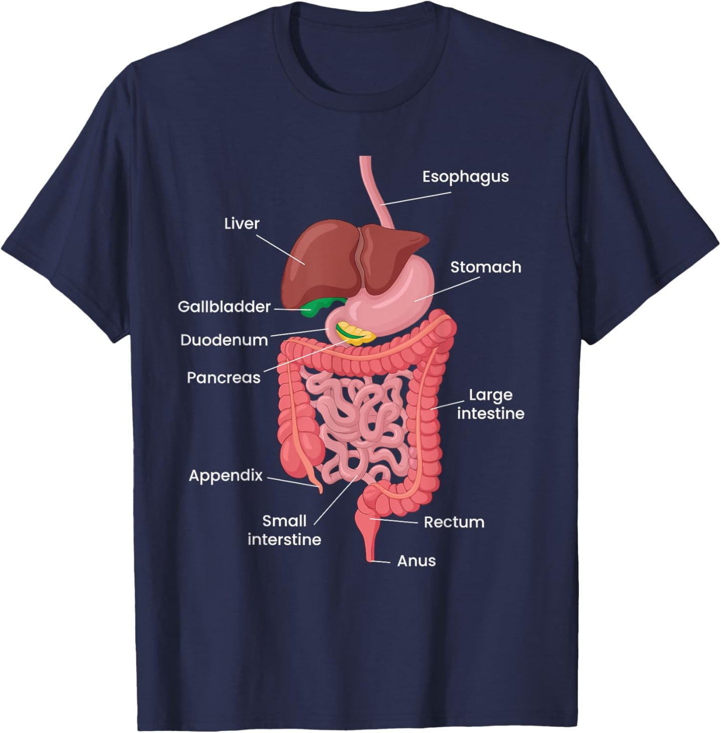 Biological Apparel -Adults Anatomy Digestive System Black Small Classic Short Sleeve T-Shirt - T-Shirt | Navy