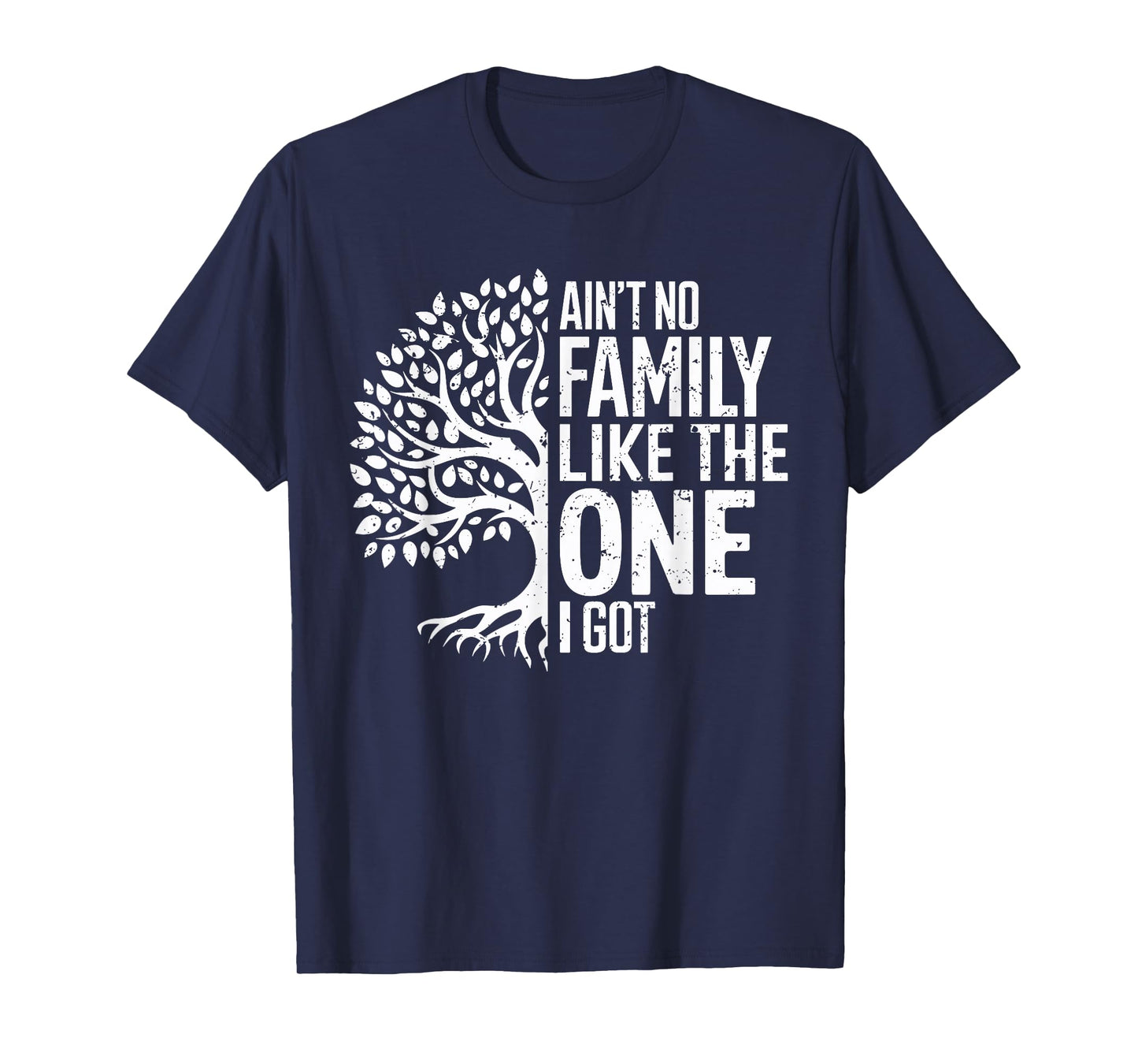 Ain't No Family Like The One I Got Funny Family Reunion 2025 T-Shirt
