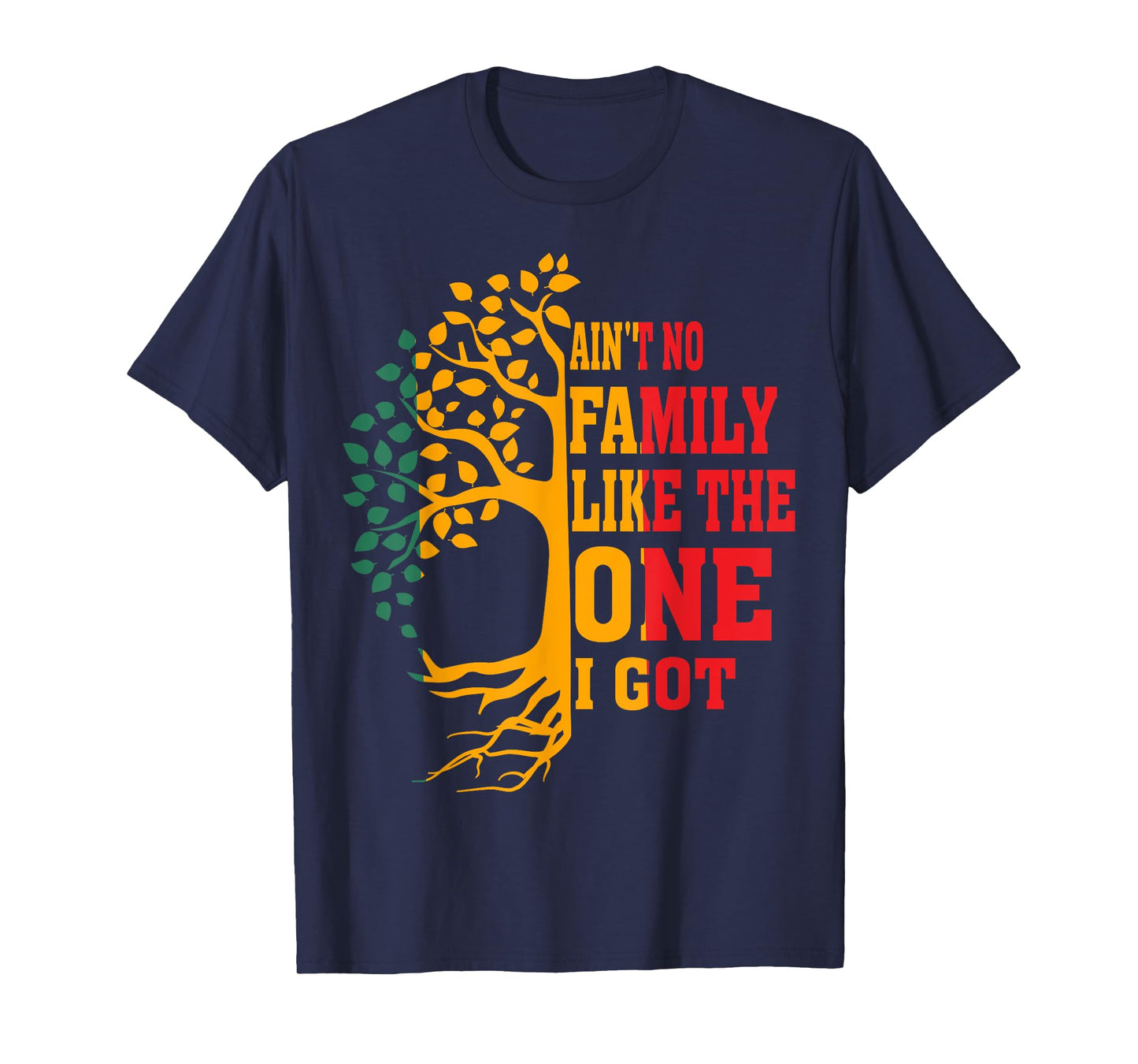 Ain't No Family Like The One I Got Funny Family Reunion 2024 T-Shirt