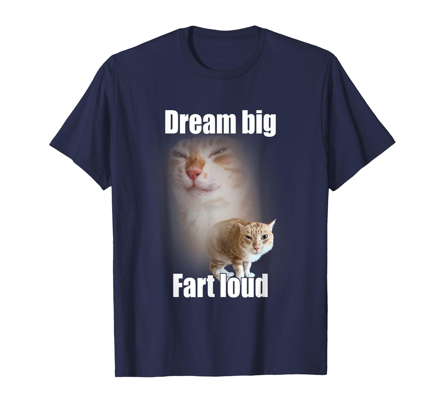Dream Big Fart Loud Cat Meme Funny Saying Men Women T-Shirt