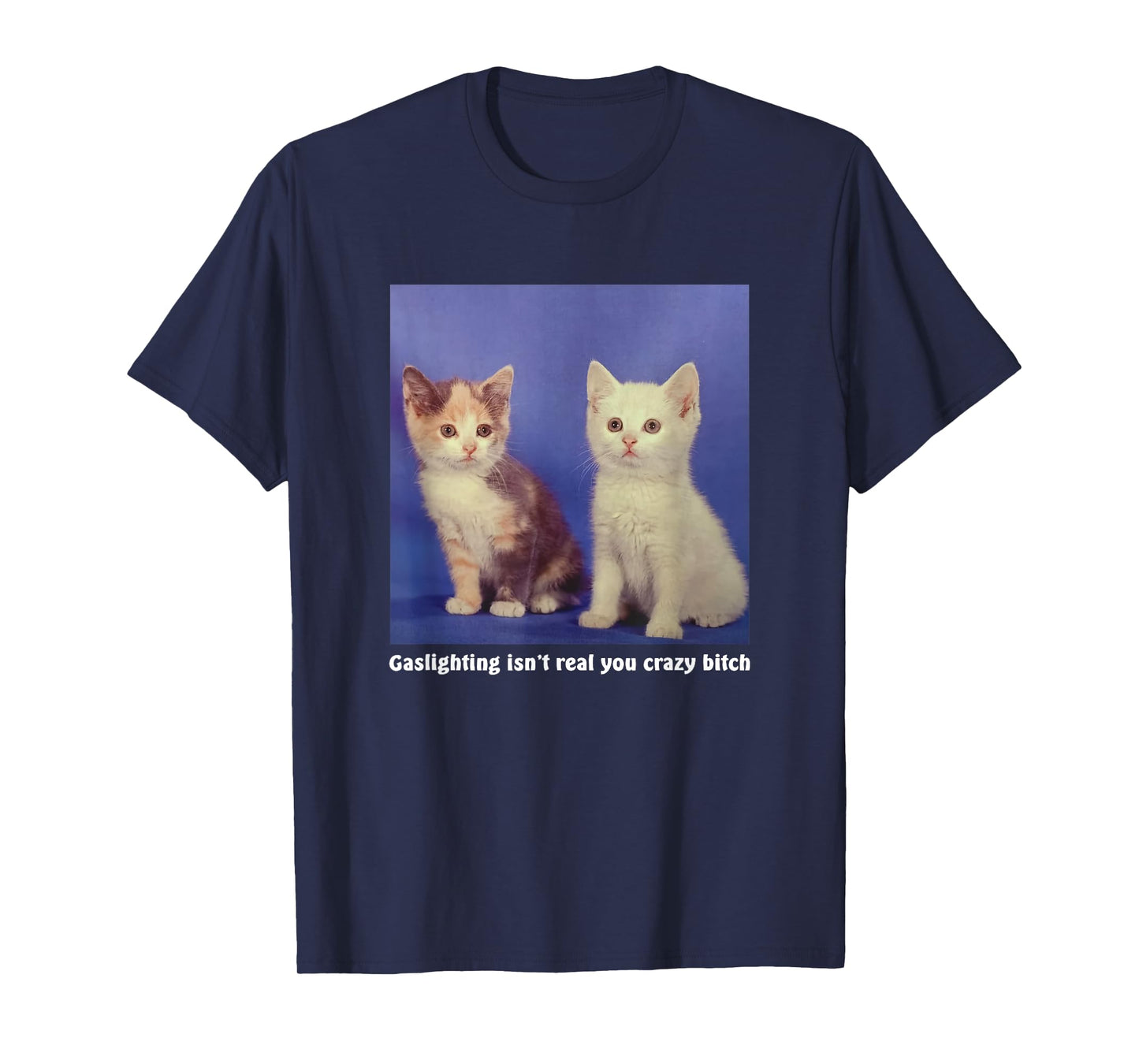 Gaslighting Isn't Real You Crazy B.I.T.C.H Funny Cat Lover T-Shirt for Men Women