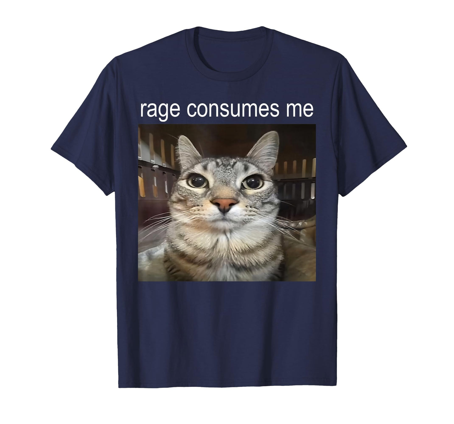 Funny Cat Meme Quote Retro Cat Lover Rage Consumes Me T-Shirt
