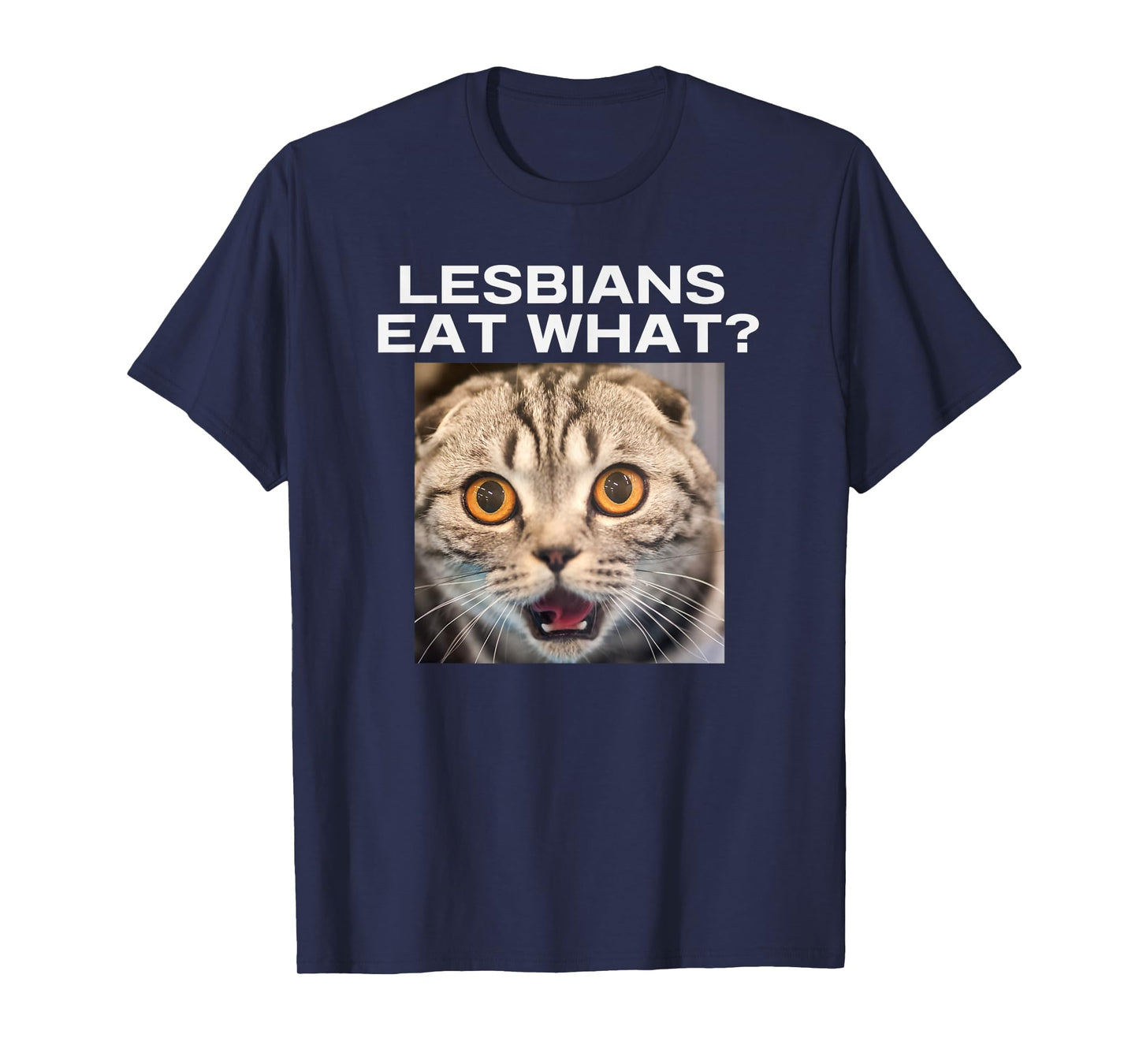 Lesbians Eat What Adult Humor Pun Gag Funny Statement Joke T-Shirt