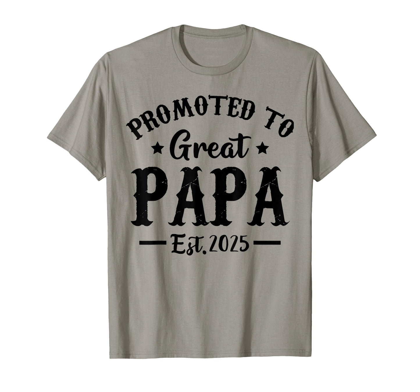 Promoted To Great Papa Est 2025 Dad T-Shirt