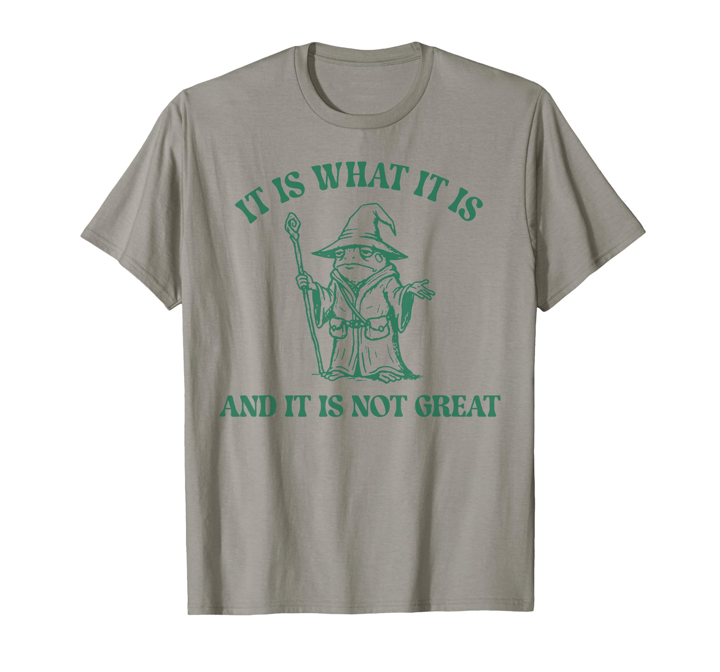 Frog Witch It Is What It Is And It Is Not Great T-Shirt