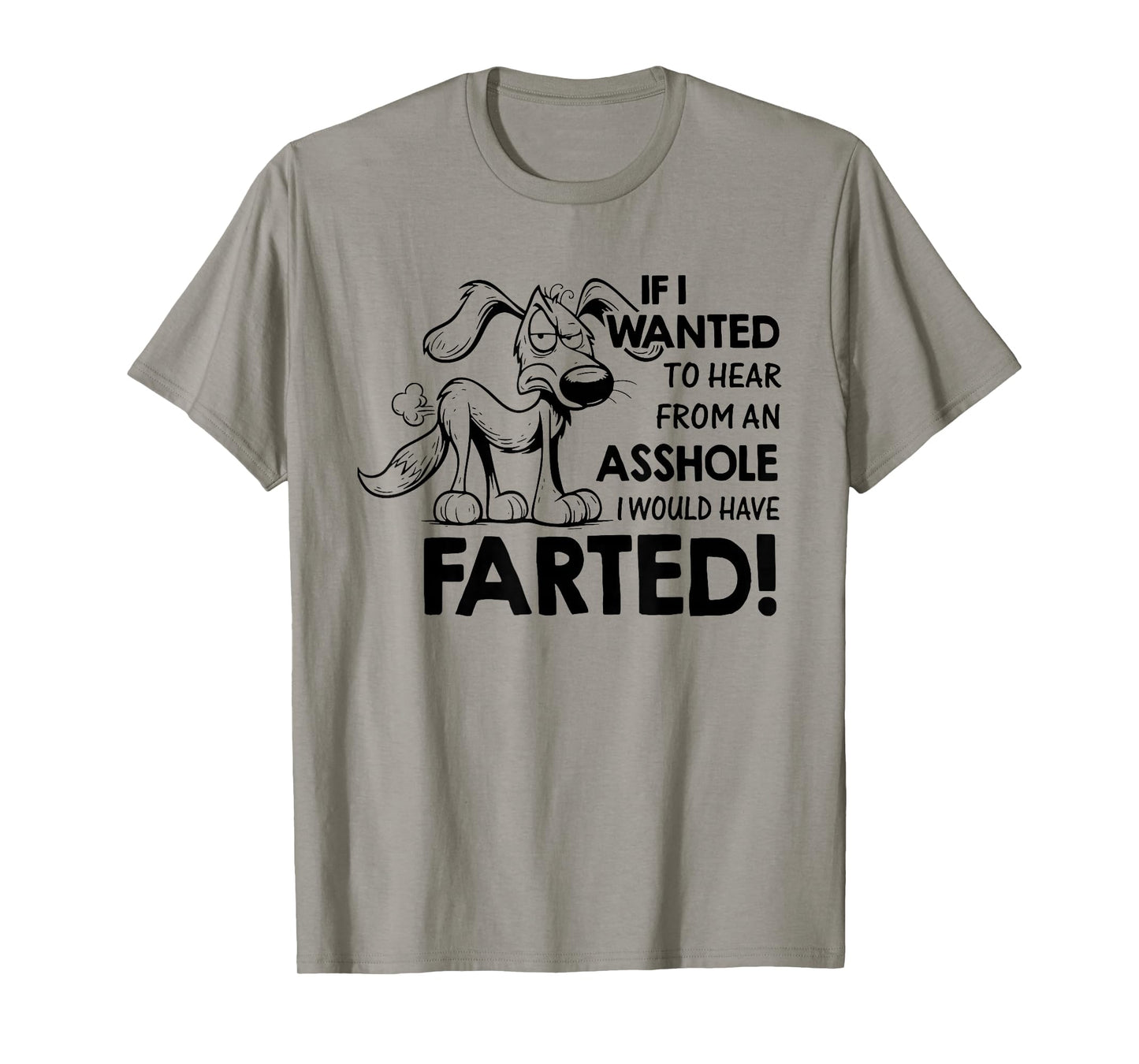 If I Wanted to Hear from an Asshole I Would Have Farted T-Shirt