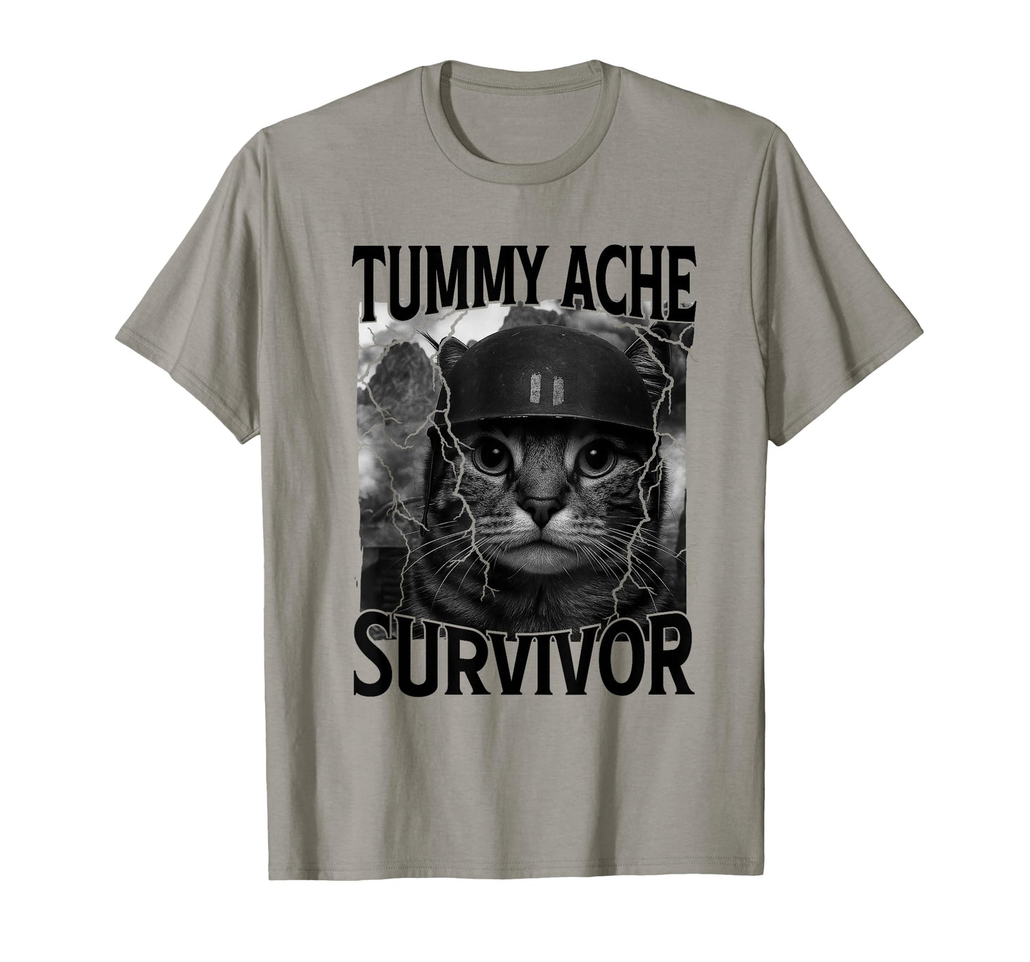 Funny Saying Cat Tummy Ache Survivor Meme Survived Today's T-Shirt