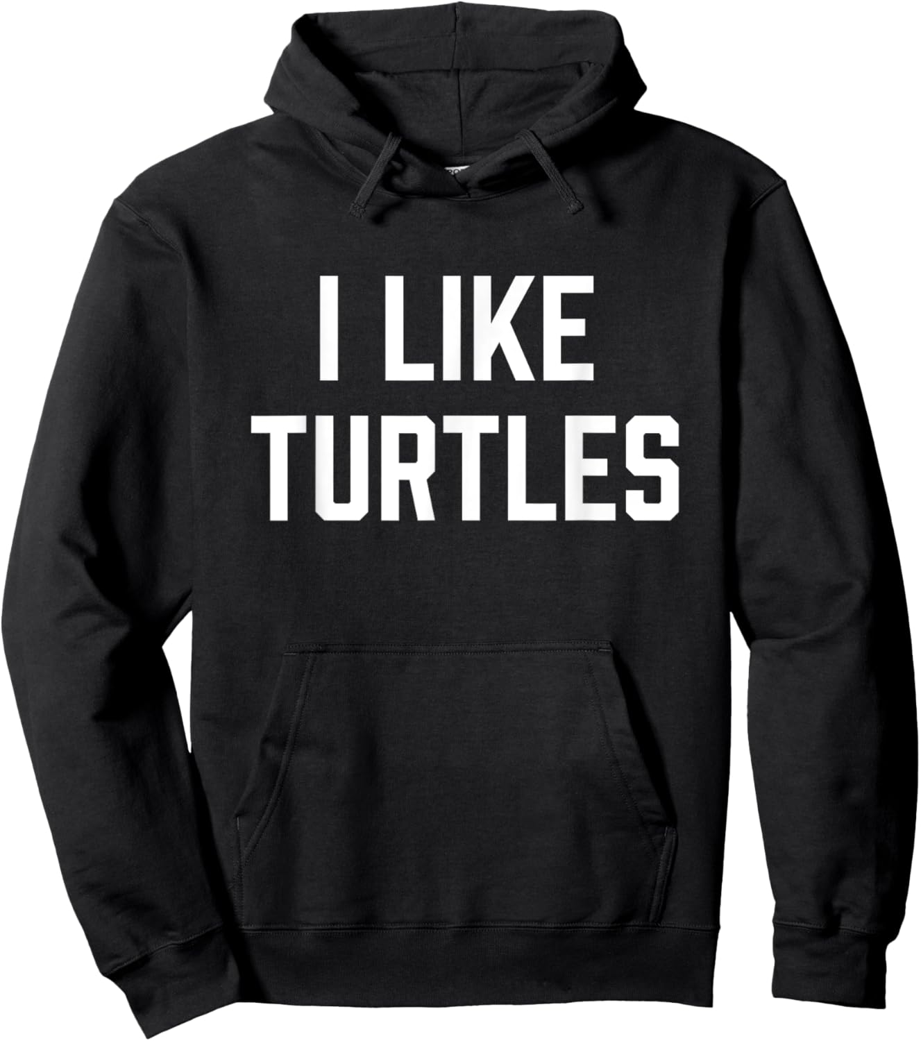 I Like Turtles Funny Turtle Lover Hoodie - Hoodie | Black