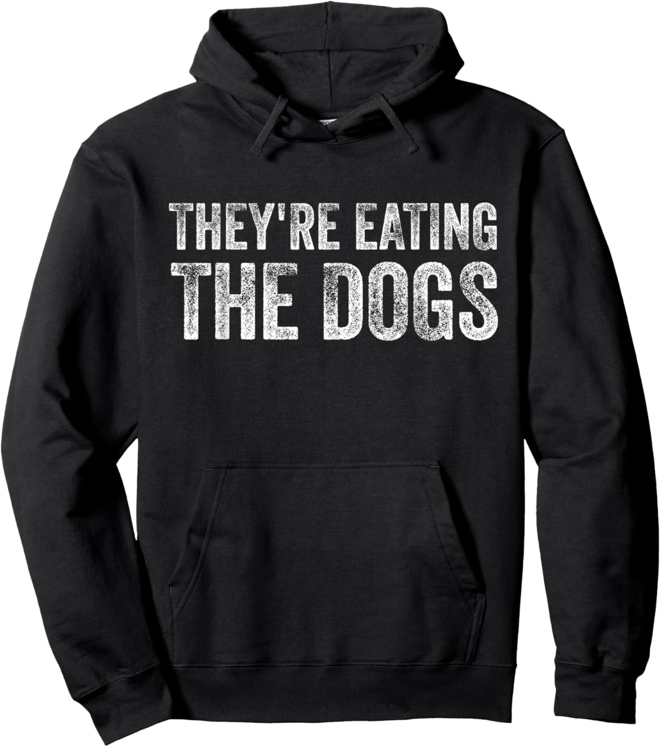 They're eating the dogs Trump 2024 America election Hoodie - Hoodie | Black