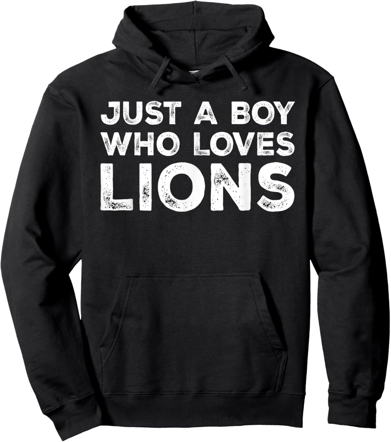 Just A Boy Who Loves Lions, Cute Lion Lovers Hoodie - Hoodie | Black