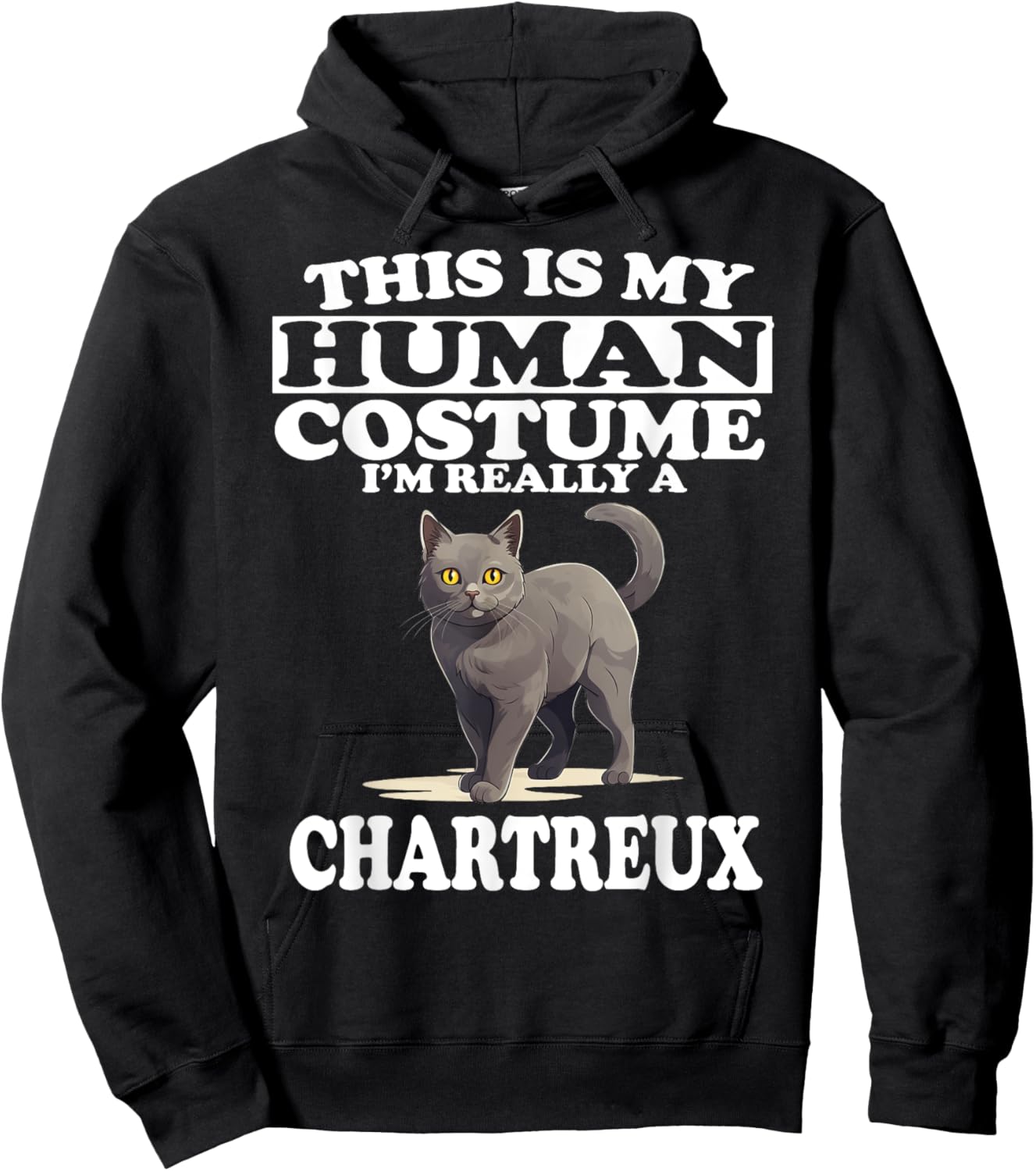 This is My Human Costume I'm Really A Chartreux Cat Hoodie - Hoodie | Black