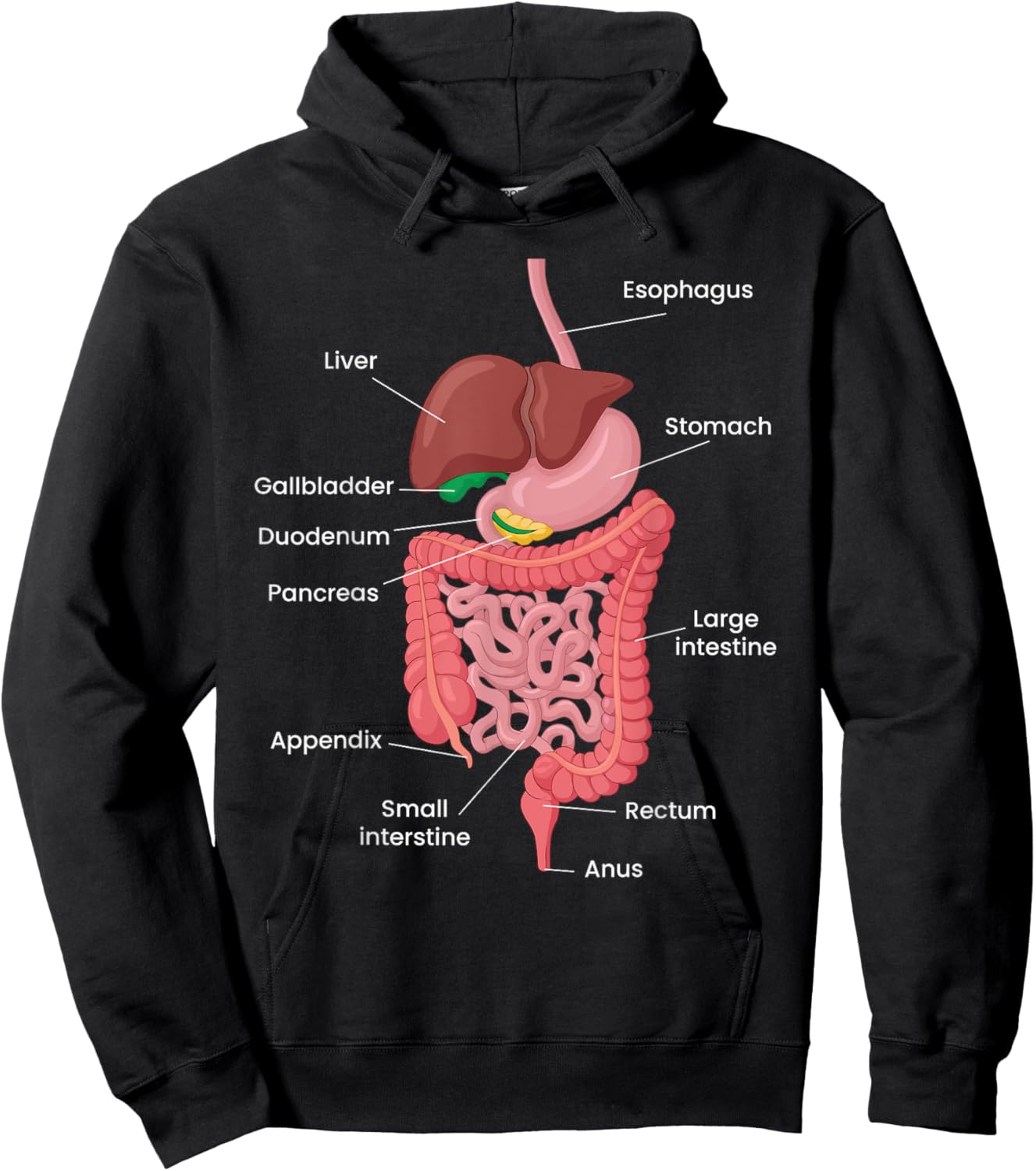 Biological Apparel -Adults Anatomy Digestive System Black Small Classic Short Sleeve Hoodie - Hoodie | Black