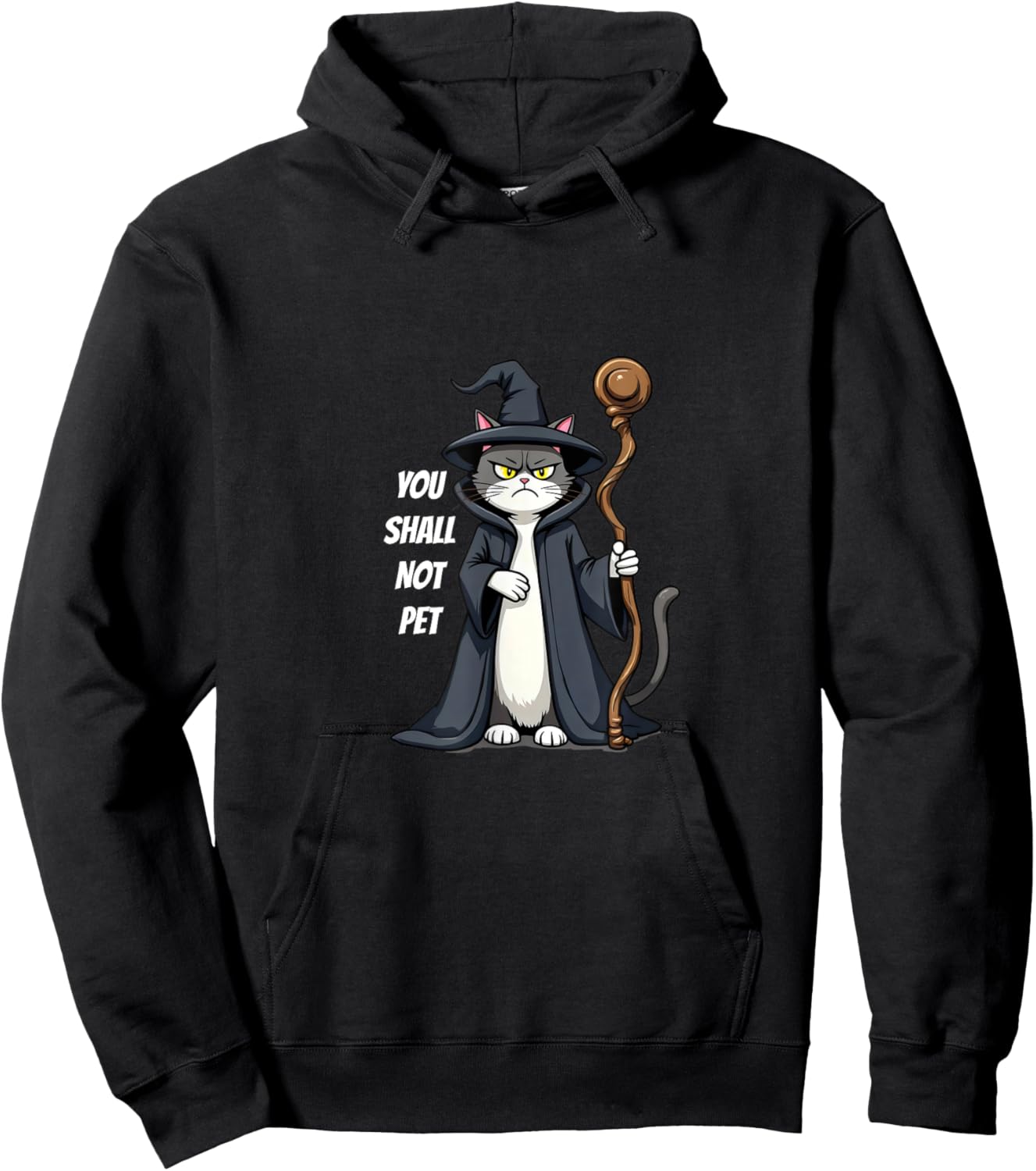 You Shall Not Pet Funny Wizard Cat Hoodie - Hoodie | Black