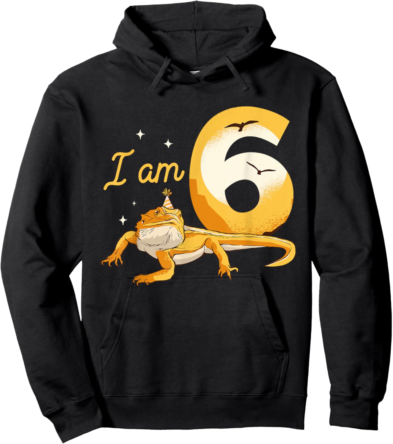 I Am 6 Years Old Bearded Dragon Reptile Themed 6th Birthday Hoodie - Hoodie | Black