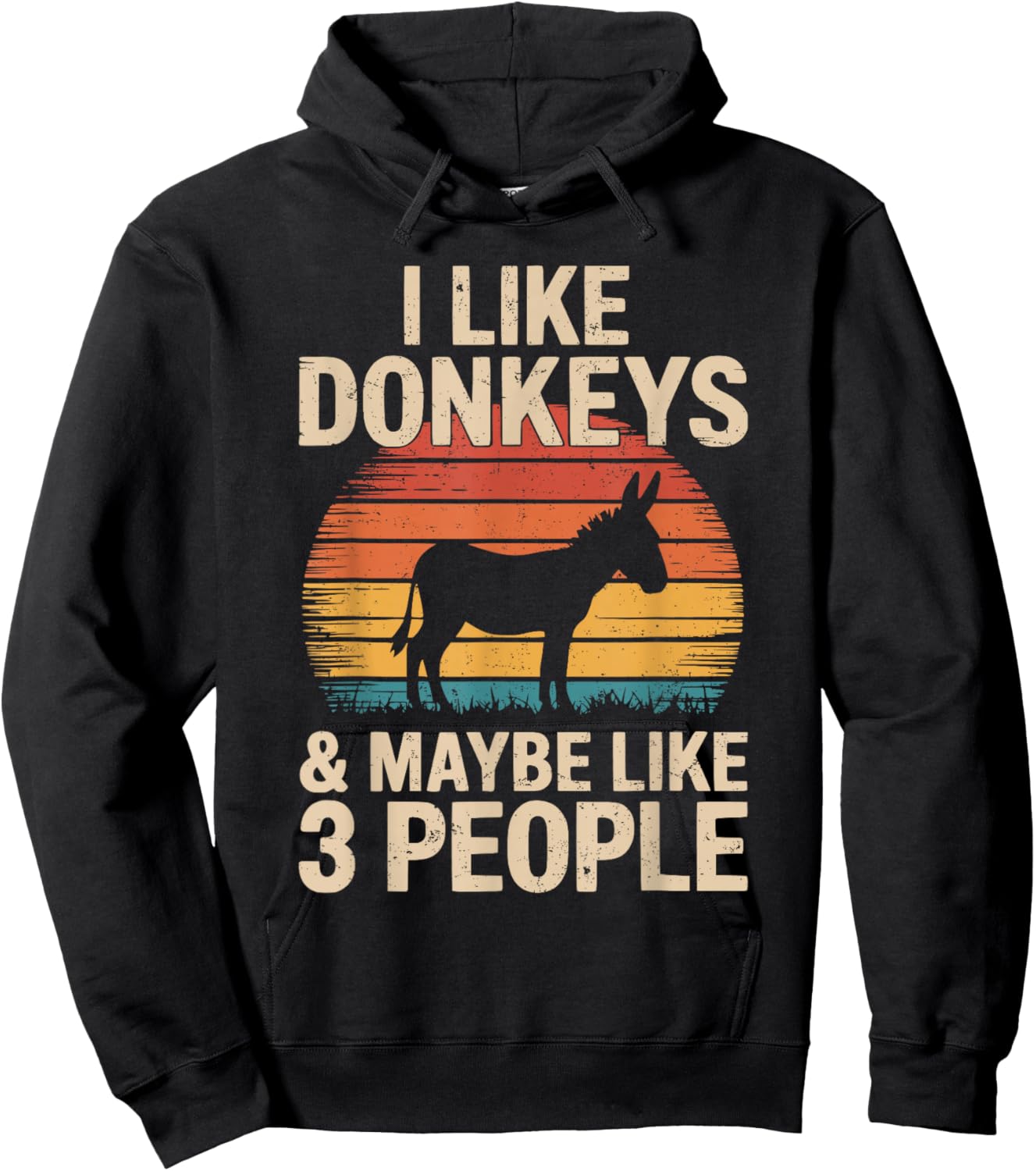 I Like Donkeys and Maybe Like 3 People Vintage Retro Hoodie - Hoodie | Black