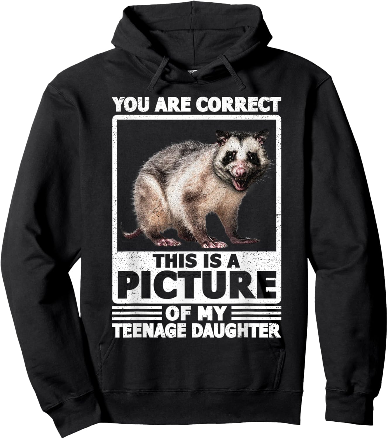 Funny Teenage Daughter Opossum Mom Possum Dad Hoodie - Hoodie | Black
