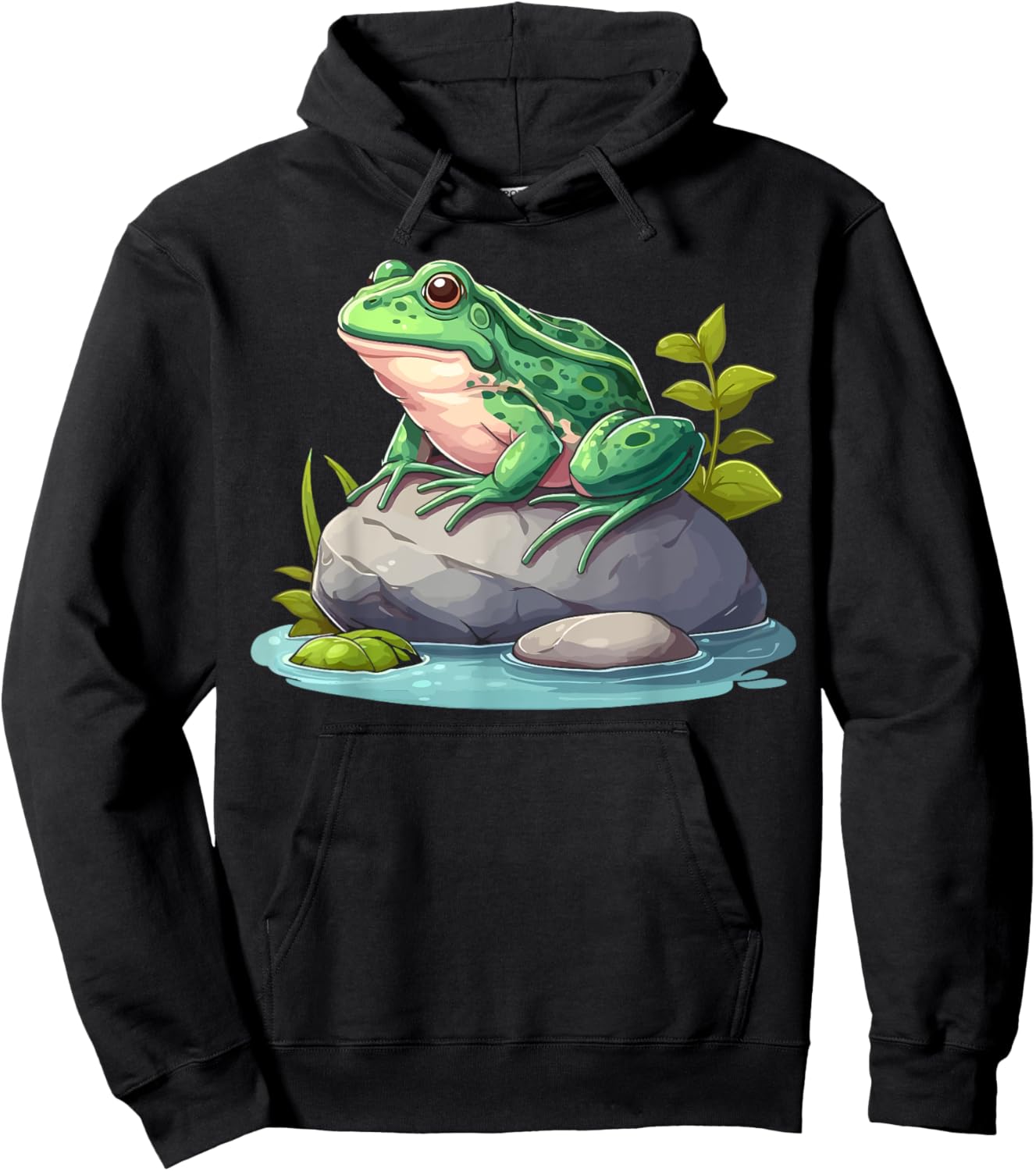 Frog Sitting On A Rock Funny Frog Lovers Hoodie - Hoodie | Black