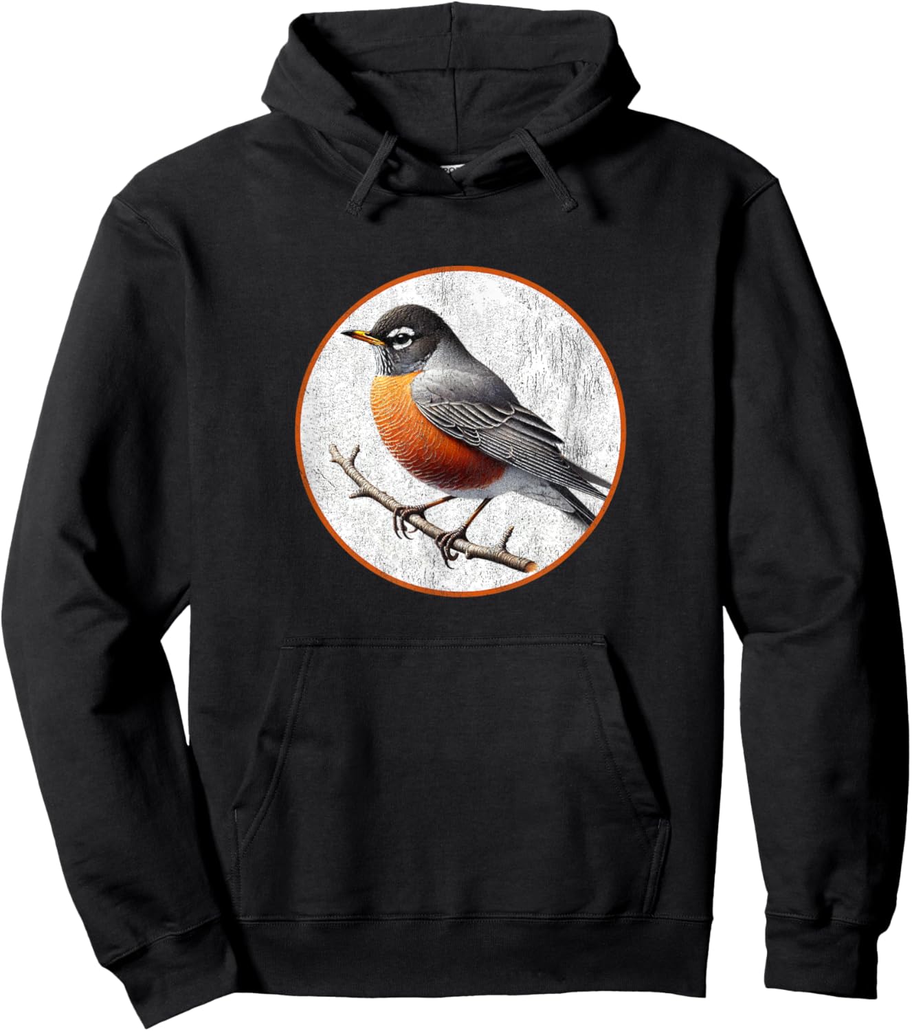 Colorful Retro American Robin Bird Design Hoodie - Hoodie | Black