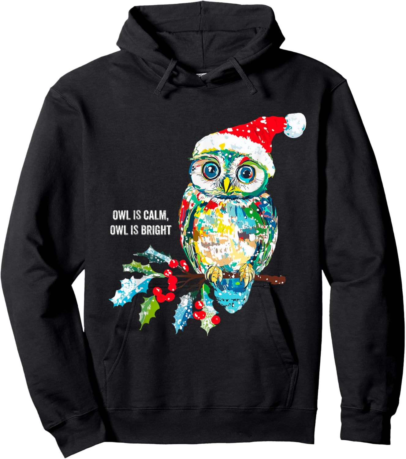 Funny Owl Wearing Santa Claus Hat Christmas Holiday Meme Hoodie - Hoodie | Black
