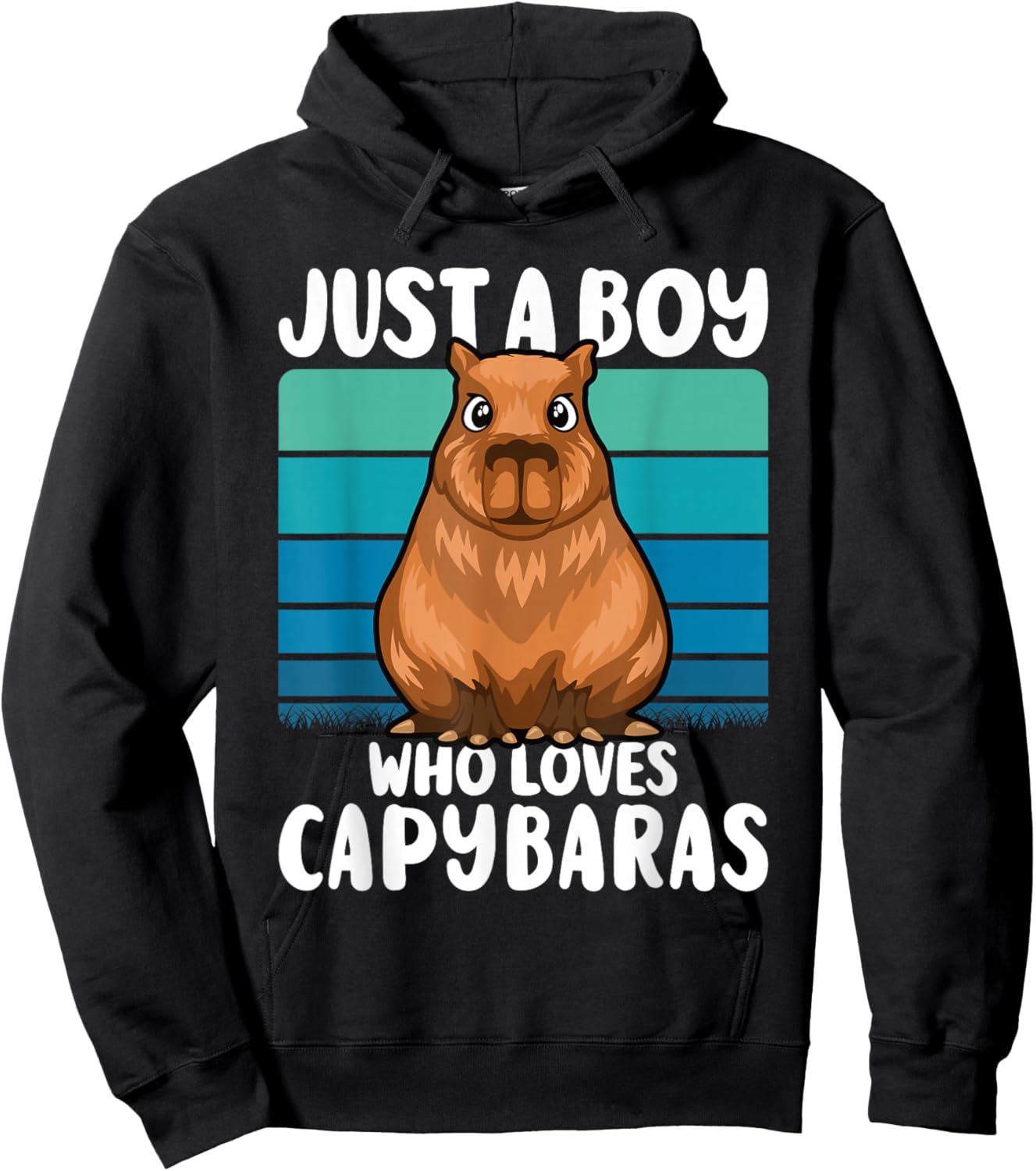 Just A Boy Who Loves Capybaras Funny Capybara Boys Kids Hoodie - Hoodie | Black