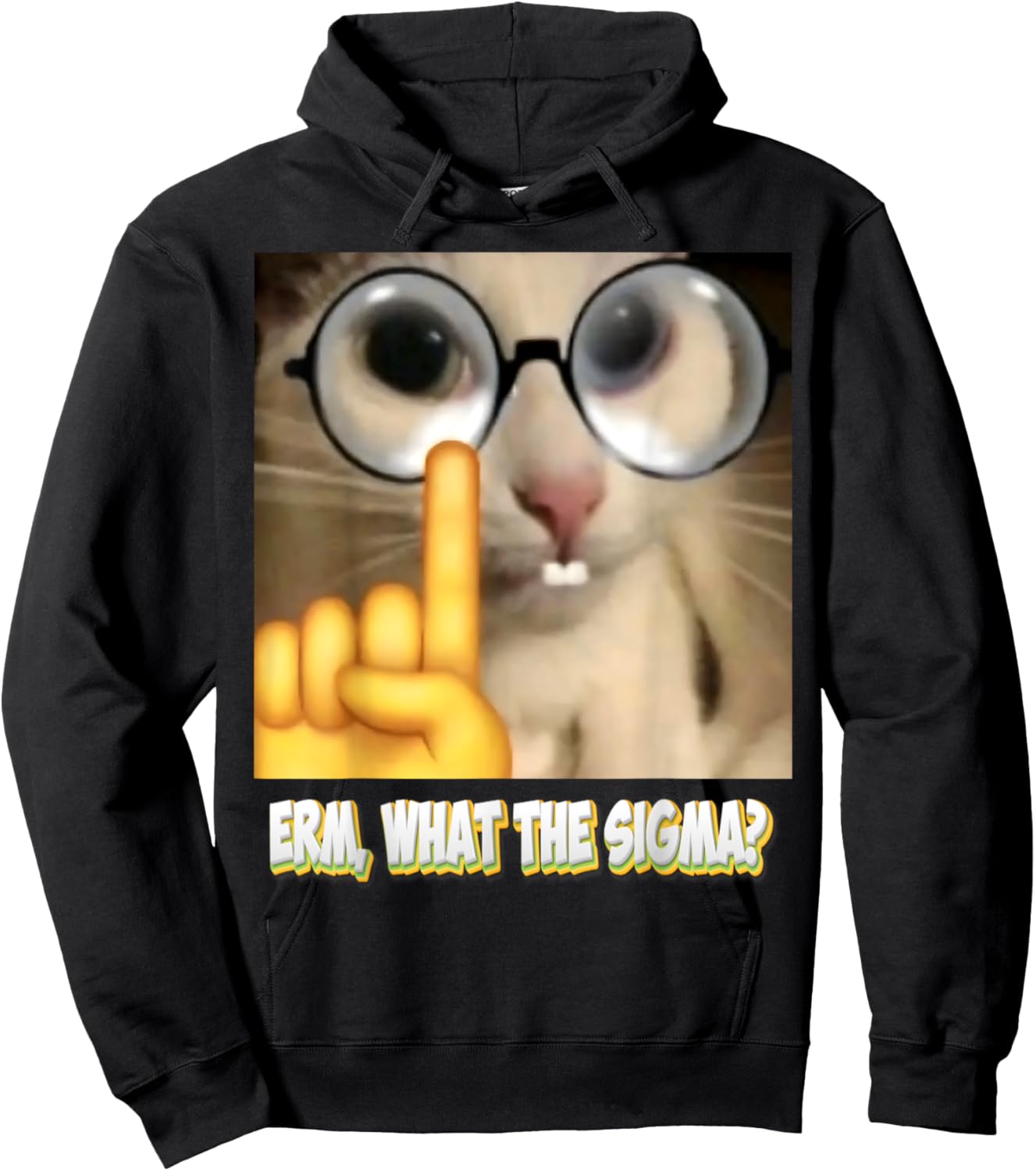 Cat Funny Erm, What the Sigma? Cat Meme Funny Women Hoodie - Hoodie | Black