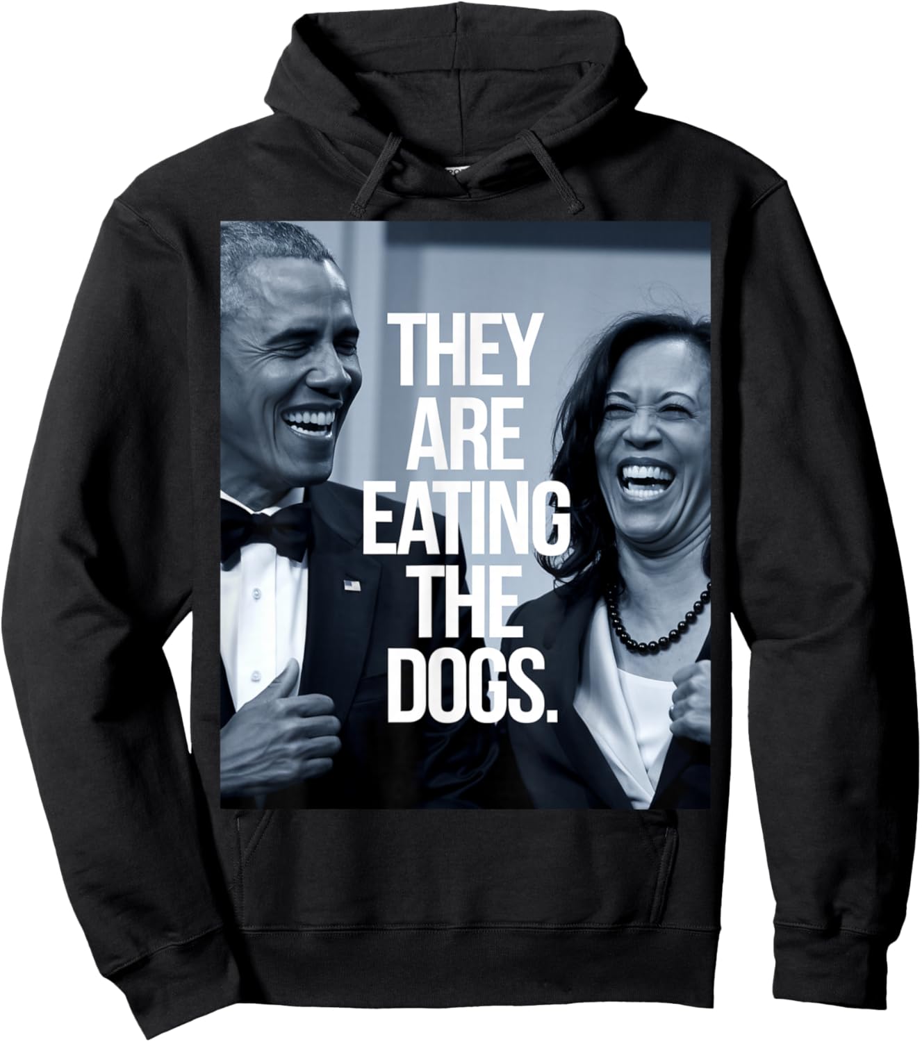 They Are Eating the Dogs, Donald Trump Kamala Harris Hoodie - Hoodie | Black