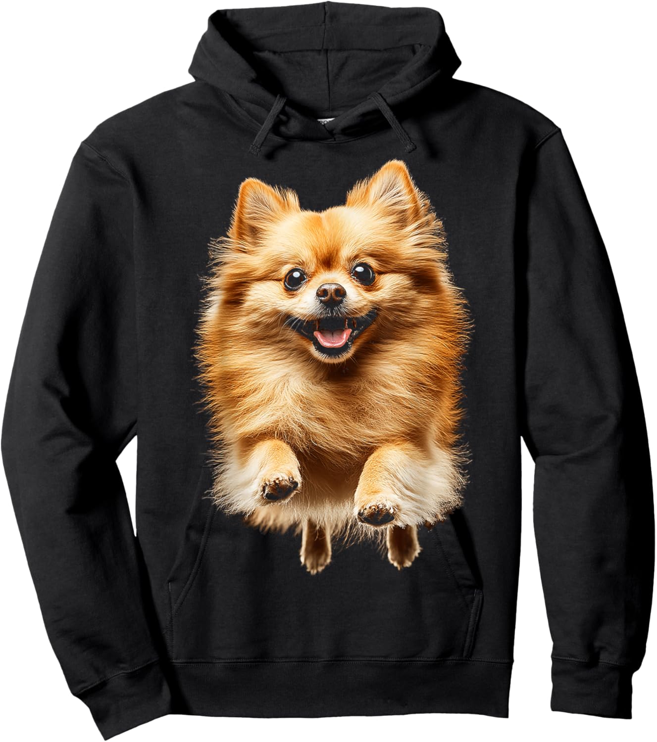 Pomeranian Dog Graphic Pet Artwork Pomeranian Men Women Kids Hoodie - Hoodie | Black