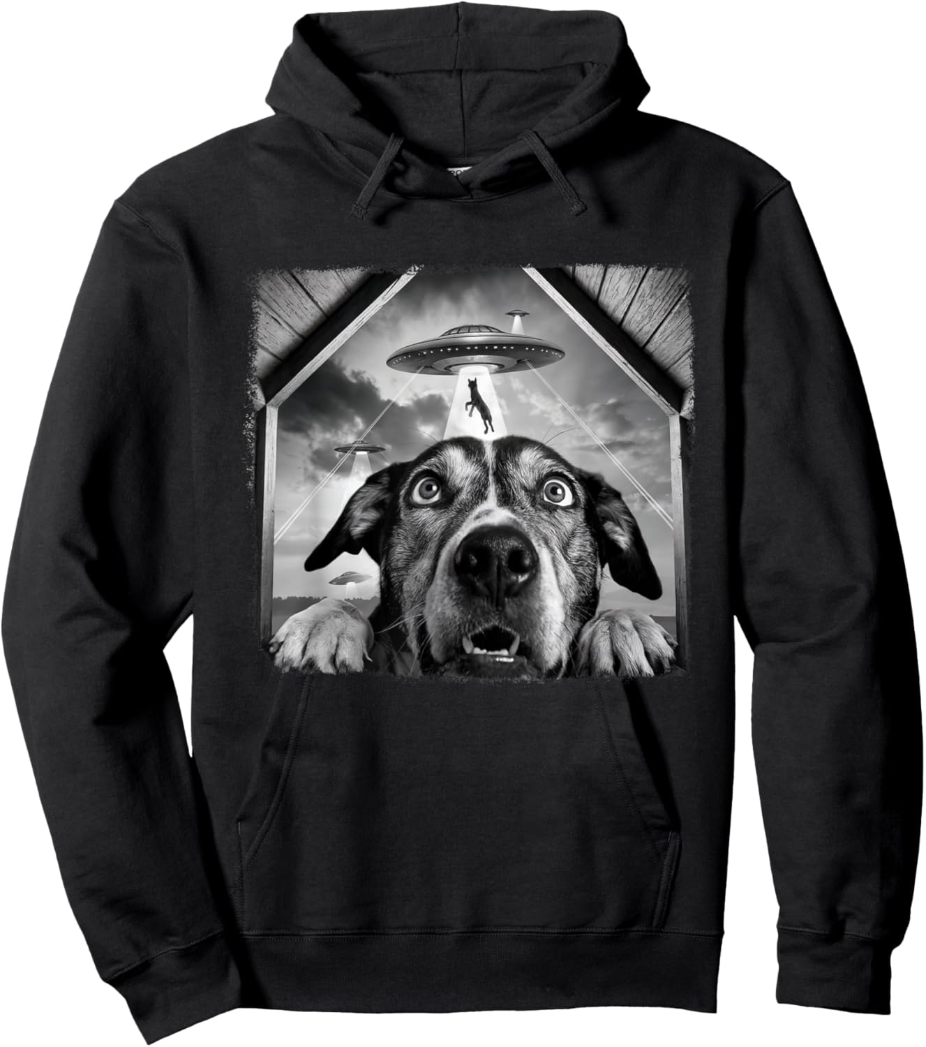 Dog Abducted By Aliens Funny Halloween Ufo Dog Mom Dad Women Hoodie - Hoodie | Black