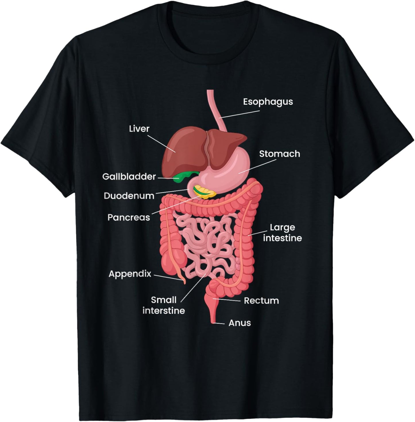 Biological Apparel -Adults Anatomy Digestive System Black Small Classic Short Sleeve T-Shirt - T-Shirt | Black