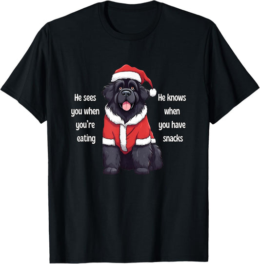 He Sees You When You're Eating Funny Newfoundland Christmas T-Shirt - T-Shirt | Black