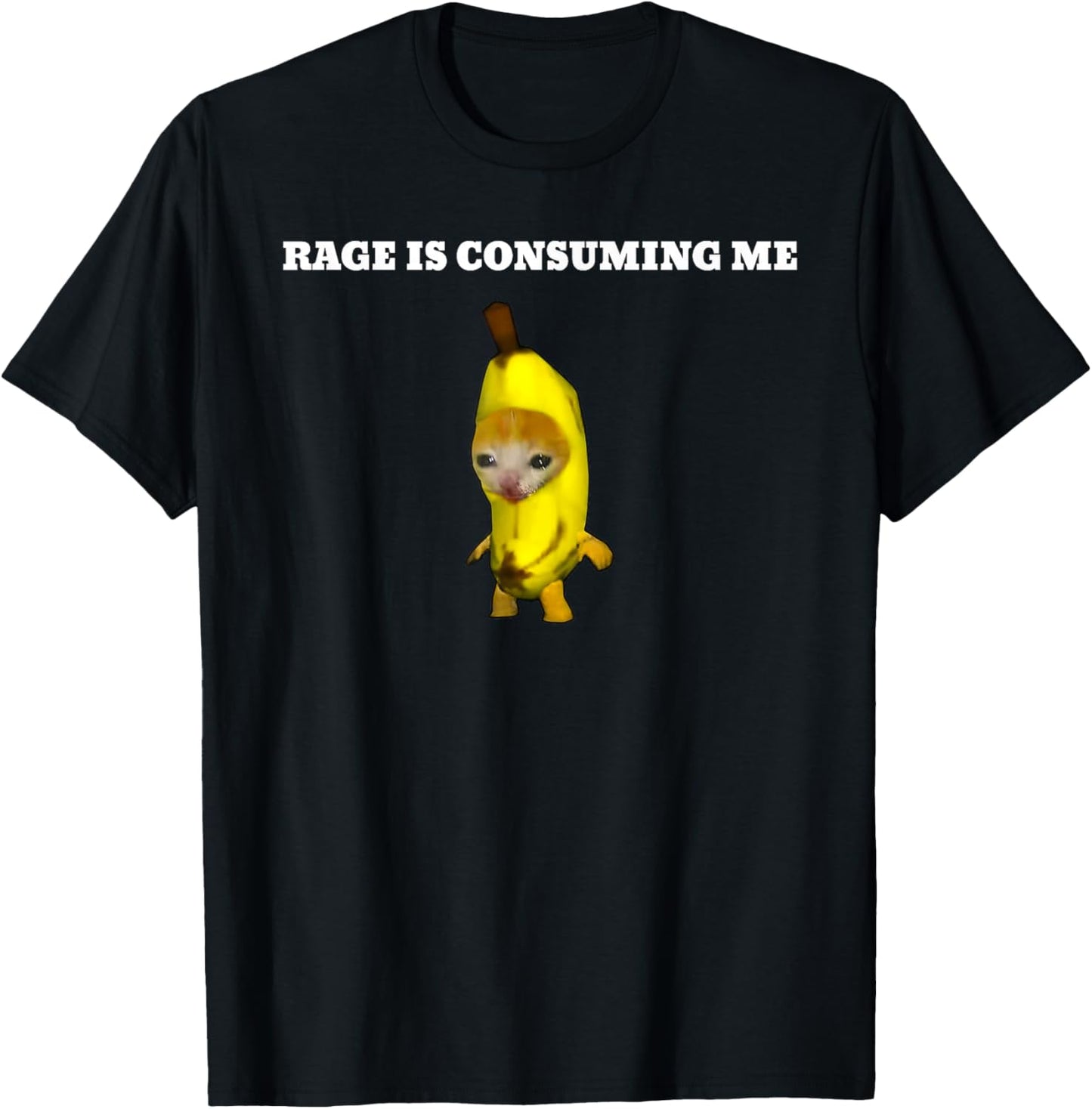 Rage Is Consuming Me Cat Meme T-Shirt - T-Shirt | Black