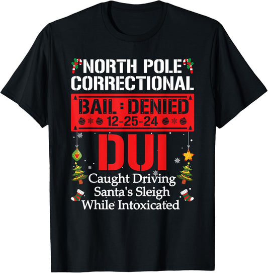 North Pole Correctional DUI Caught Driving Santa's Sleigh T-Shirt - T-Shirt | Black