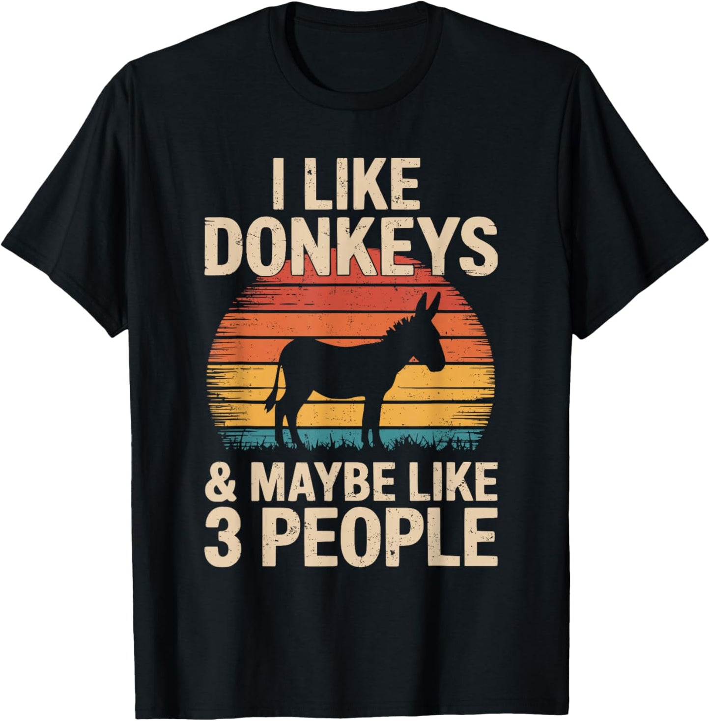 I Like Donkeys and Maybe Like 3 People Vintage Retro T-Shirt - T-Shirt | Black