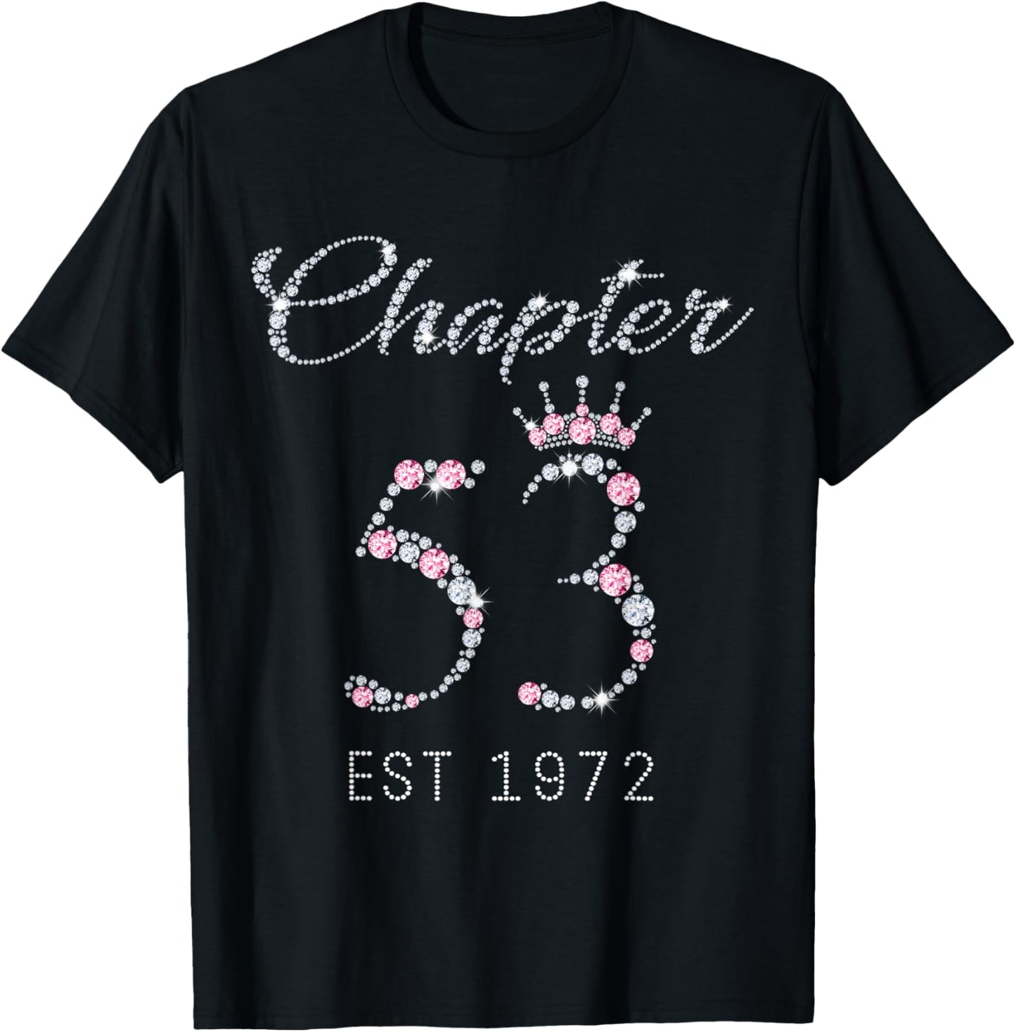 Chapter 53 EST 1972 53rd Birthday Gift T-Shirt - T-Shirt | Black